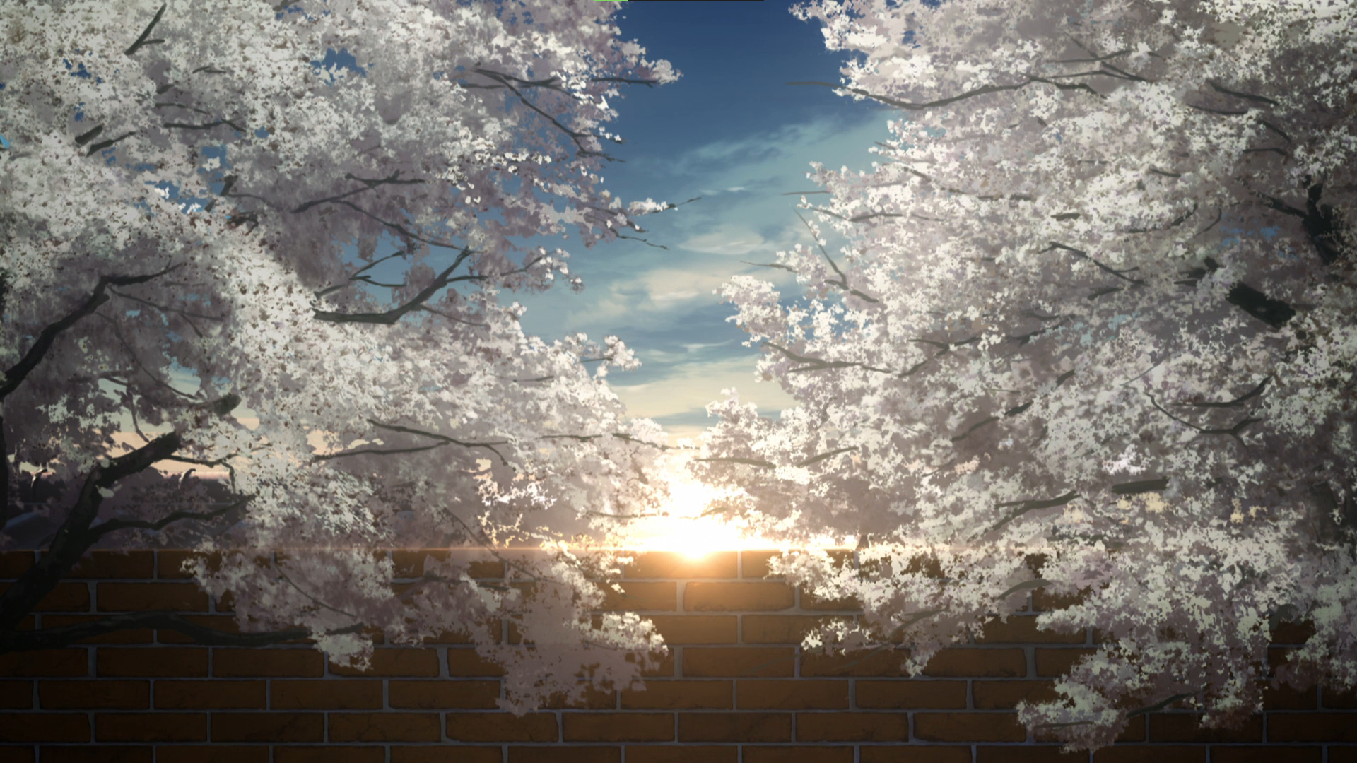 Anime screenshot of cherry blossoms and sunrise over a brick wall HD Wallpaper