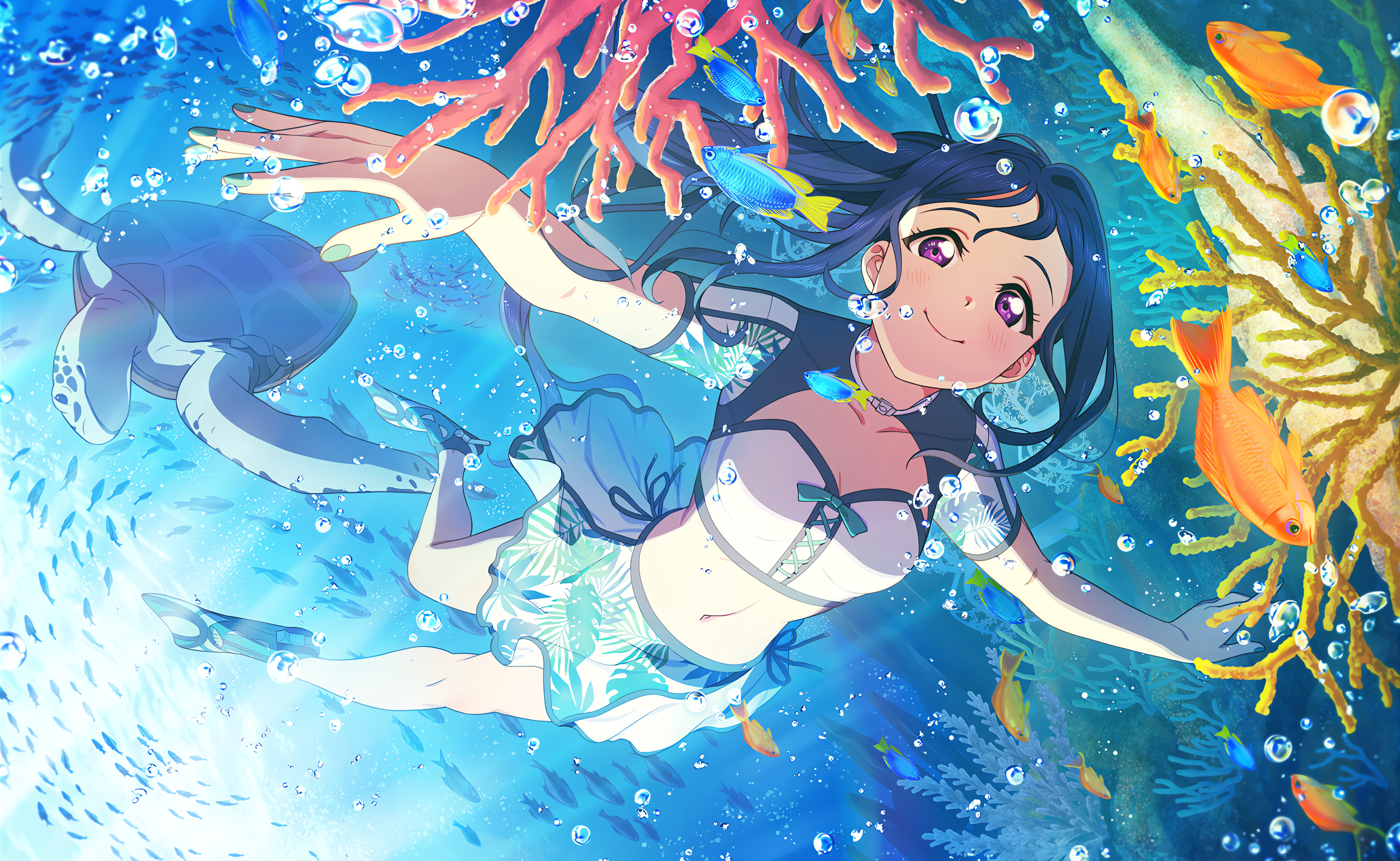 Matsuura Kanan swimming with a turtle and fish HD Wallpaper