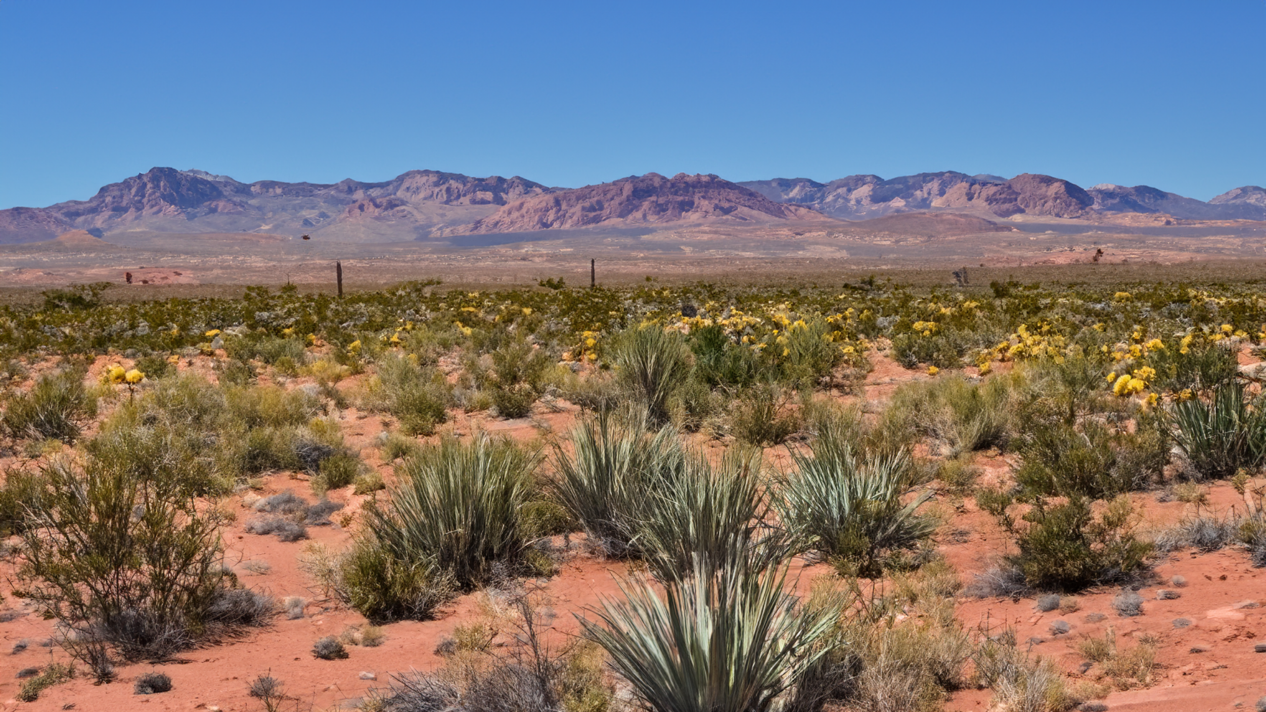 Desert landscape with mountains in Nevada HD Wallpaper