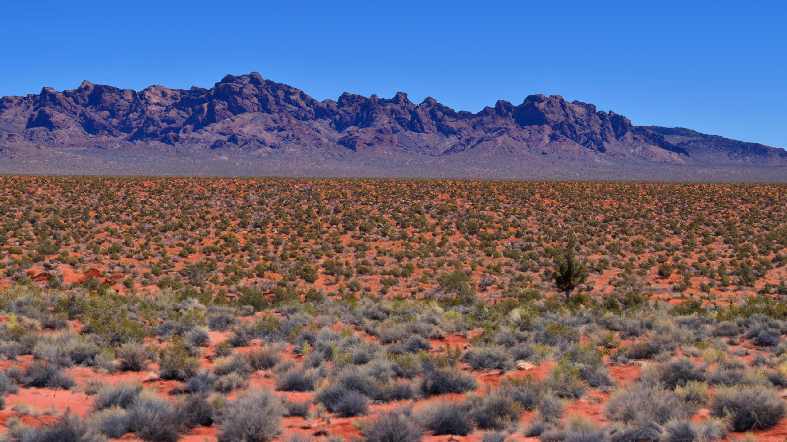 Desert landscape with mountains and sparse vegetation HD Wallpaper