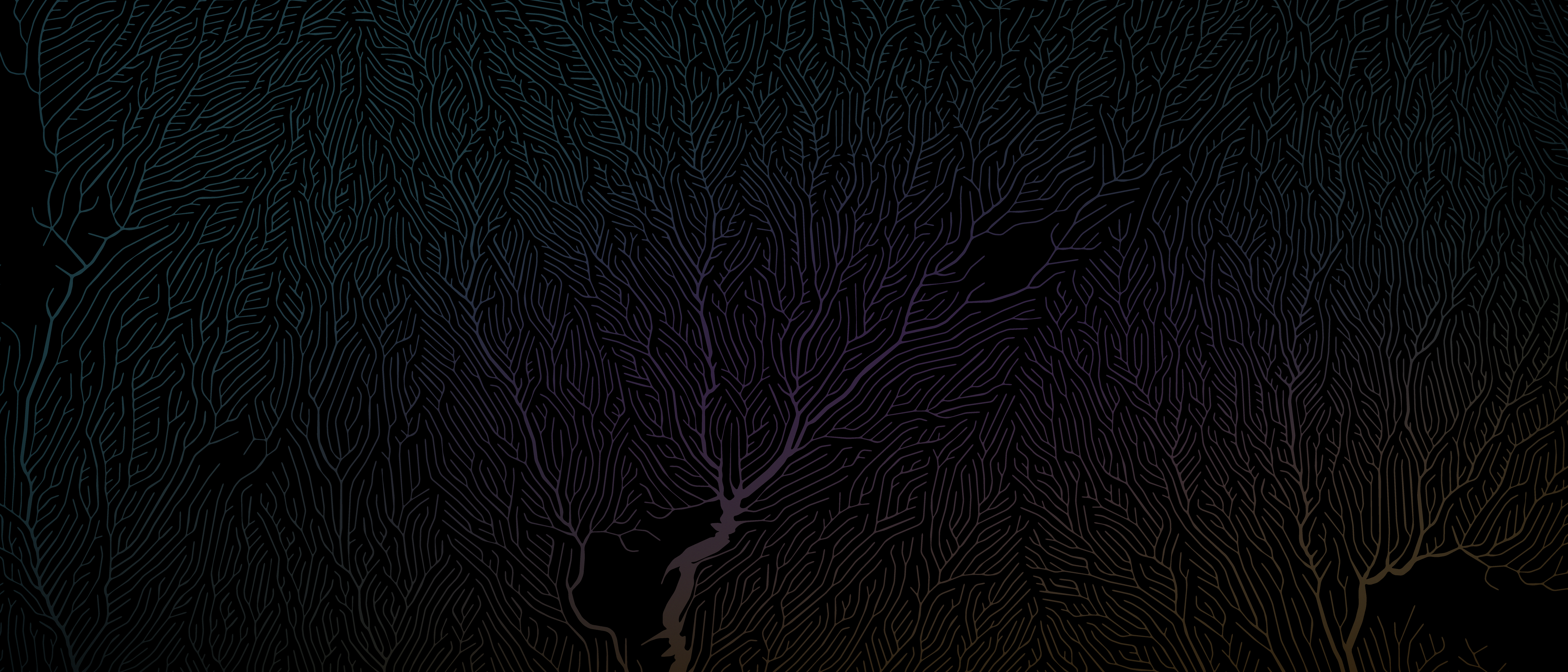 Abstract dark background with coral-like patterns HD Wallpaper