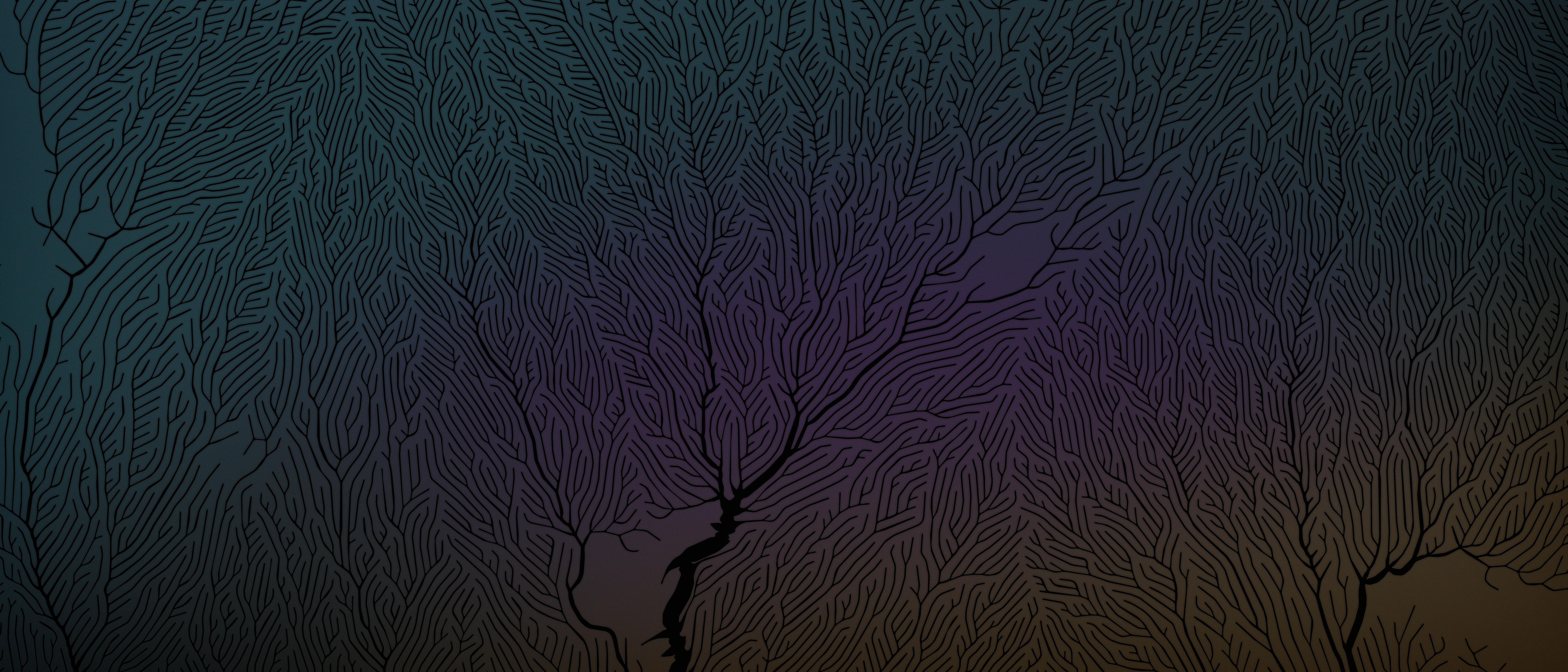 Abstract branching pattern with purple and blue gradient HD Wallpaper