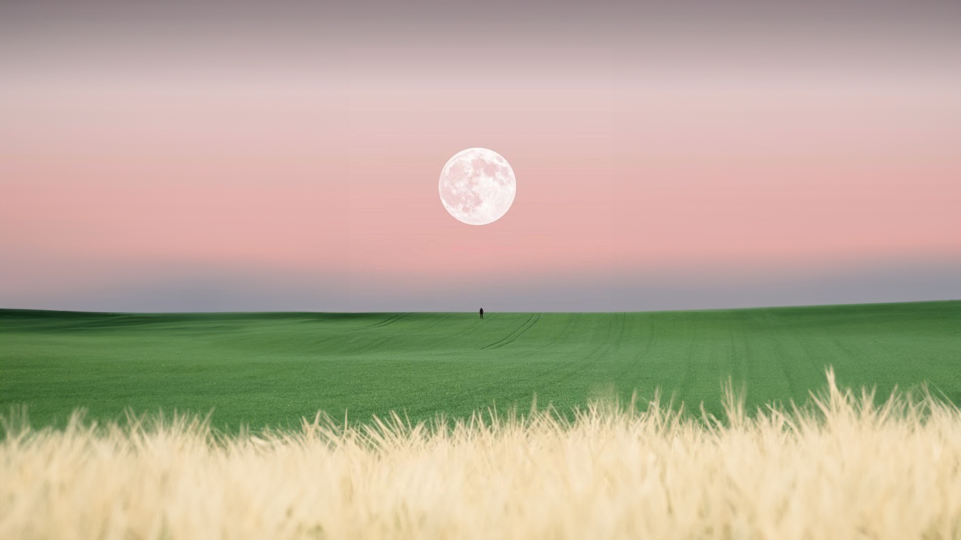 Full moon over a green field with a lone figure HD Wallpaper