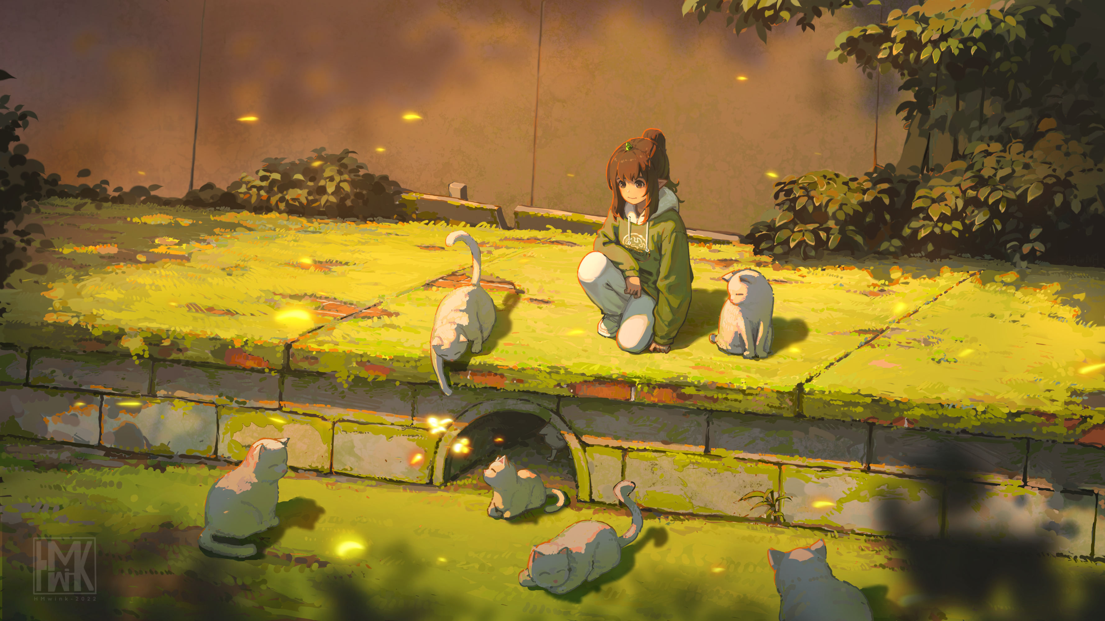 Girl with cats in a sunlit grassy area HD Wallpaper