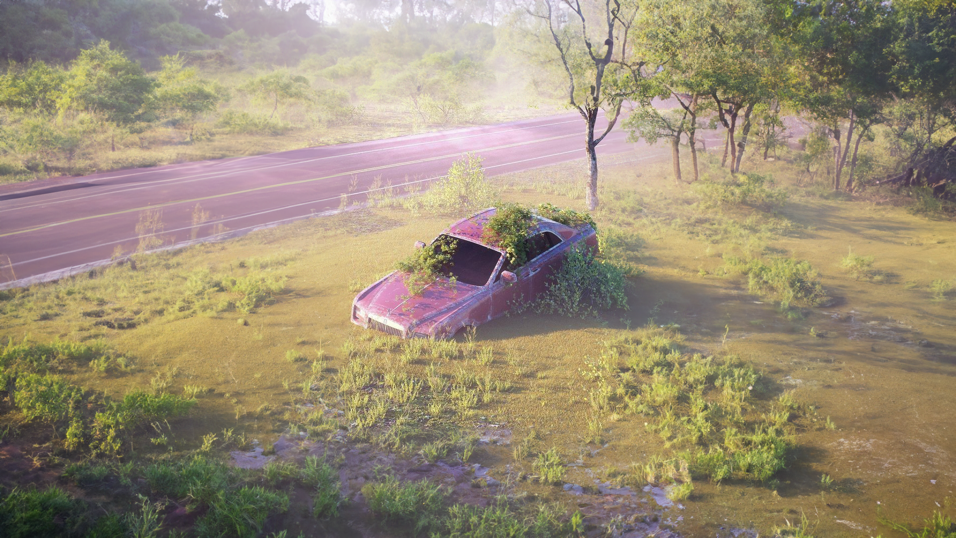 Abandoned car overgrown with plants by the road HD Wallpaper