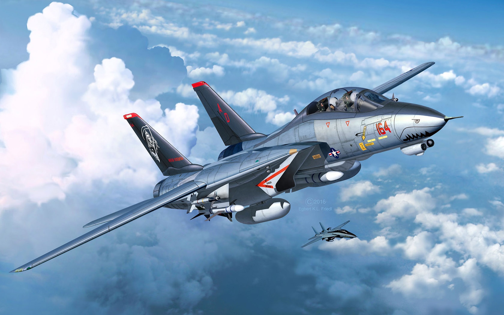 F-14 Tomcat fighter jets flying in clouds HD Wallpaper