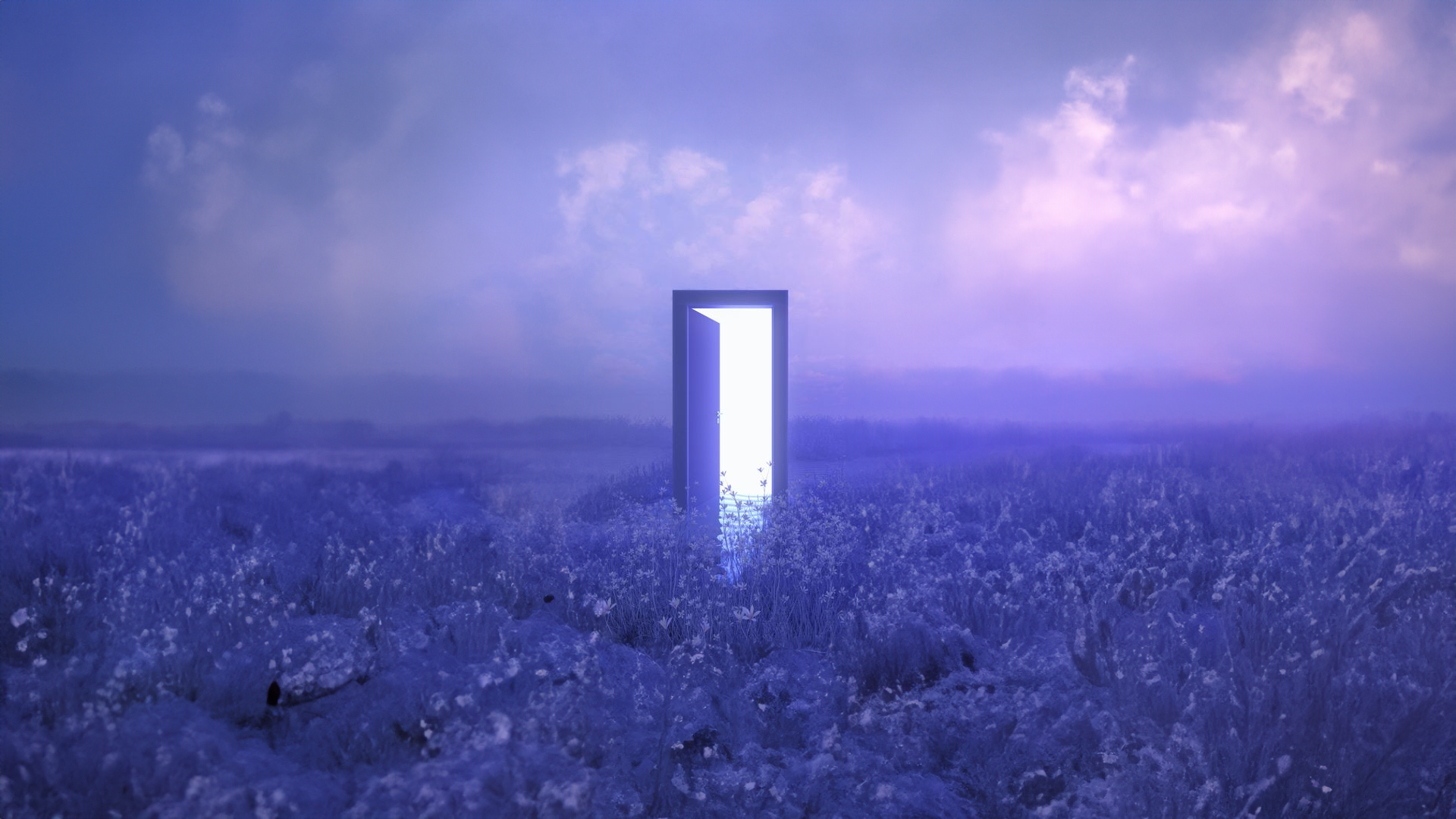 A glowing door in a field of purple flowers HD Wallpaper