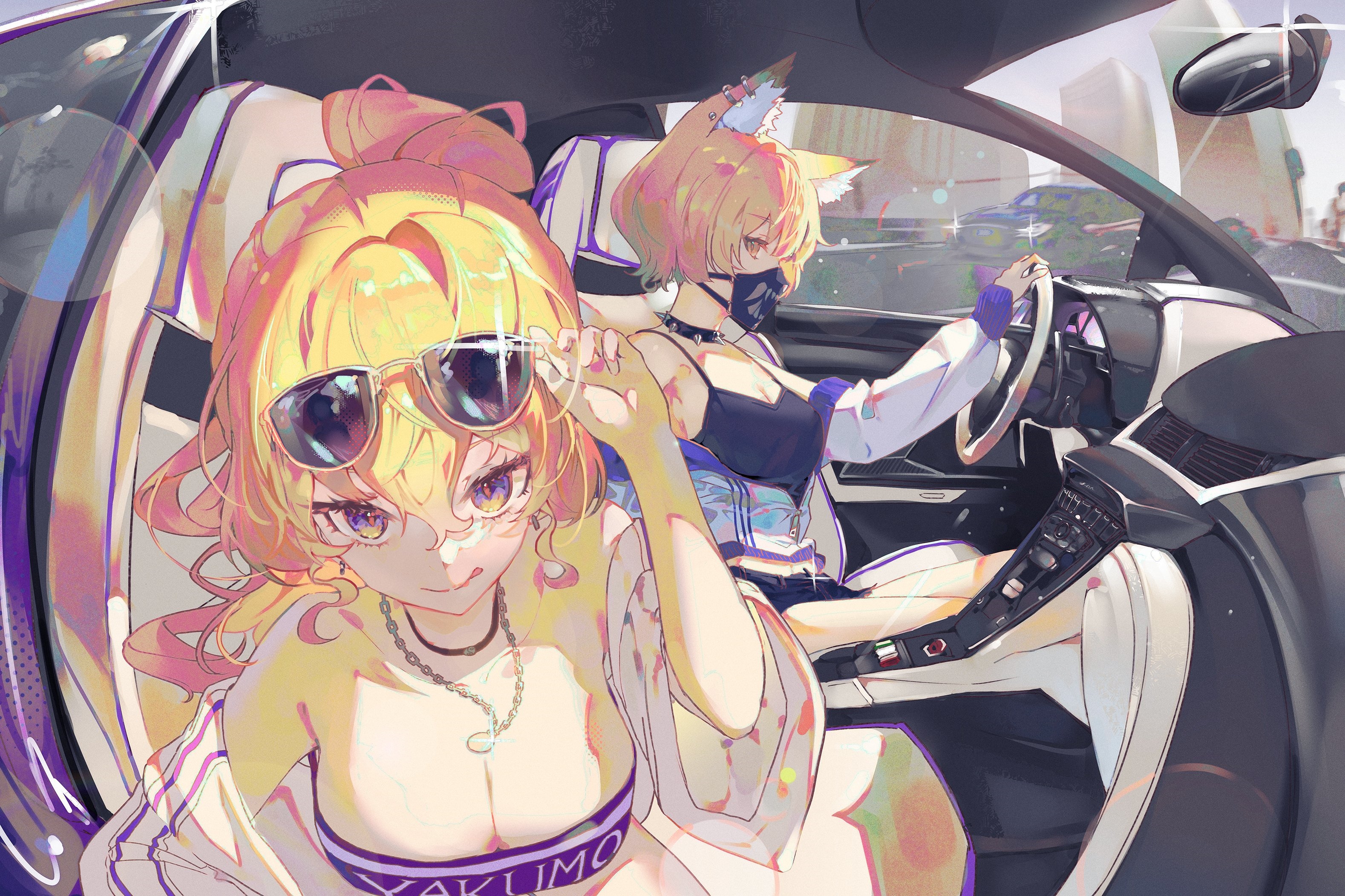 Yakumo Yukari and Yakumo Ran in a car HD Wallpaper