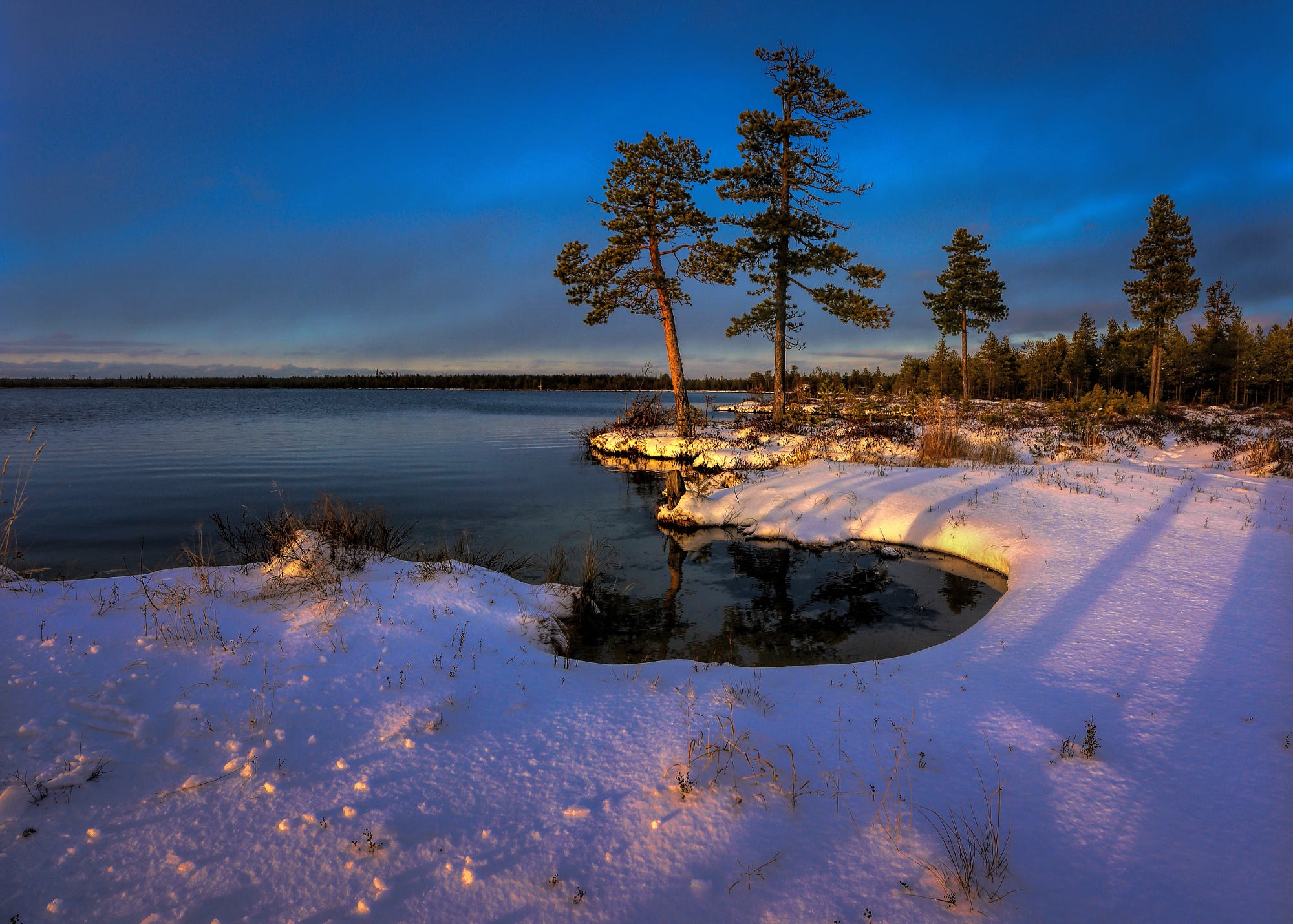 Winter landscape with lake and pine trees HD Wallpaper
