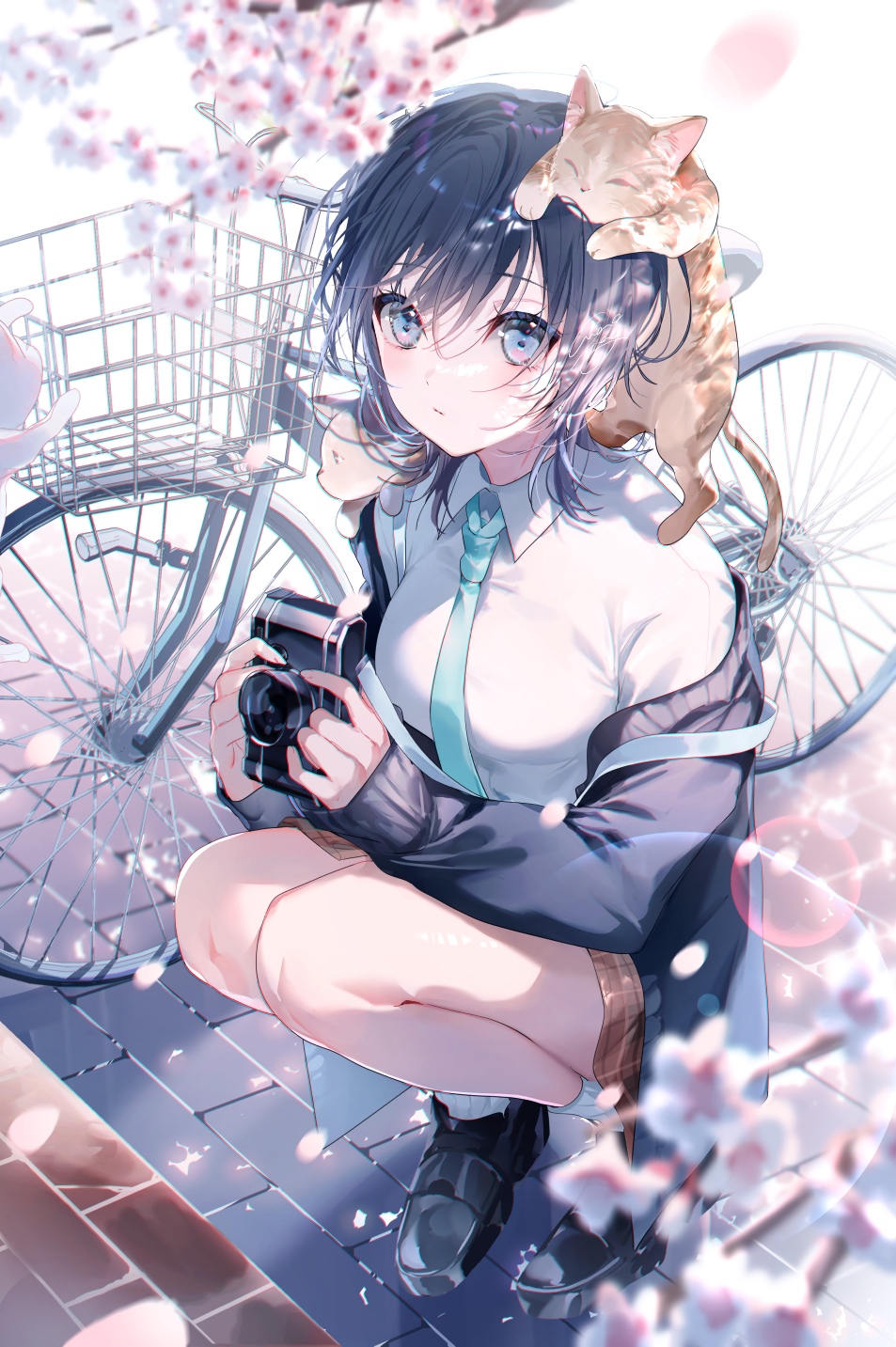 Anime girl with cat and camera by bicycle HD Phone Wallpaper