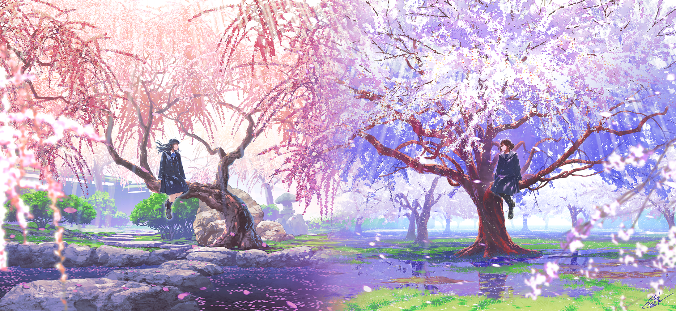 Two schoolgirls sitting on cherry blossom trees HD Wallpaper