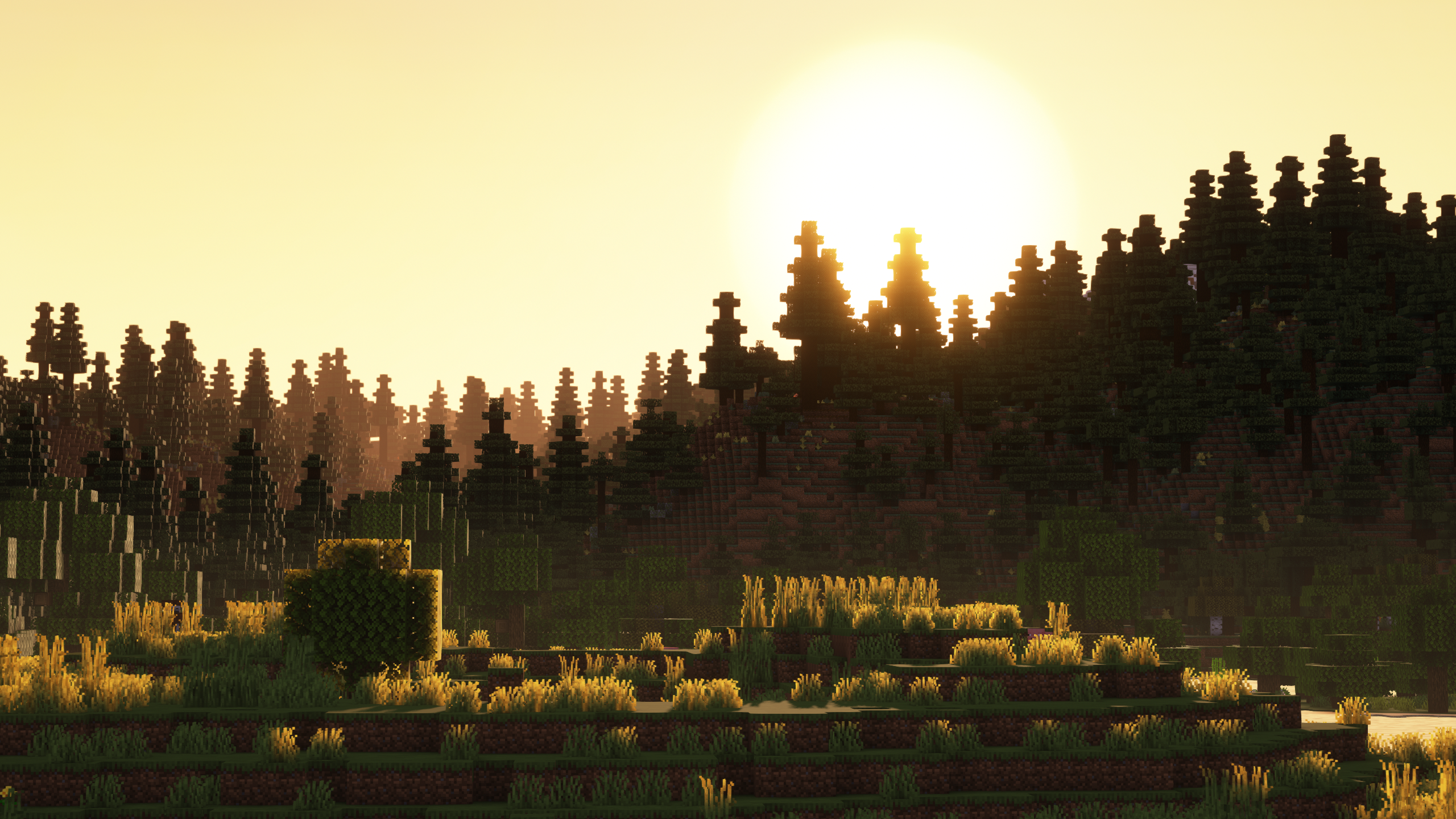 Minecraft landscape with sun rays over trees and grass HD Wallpaper