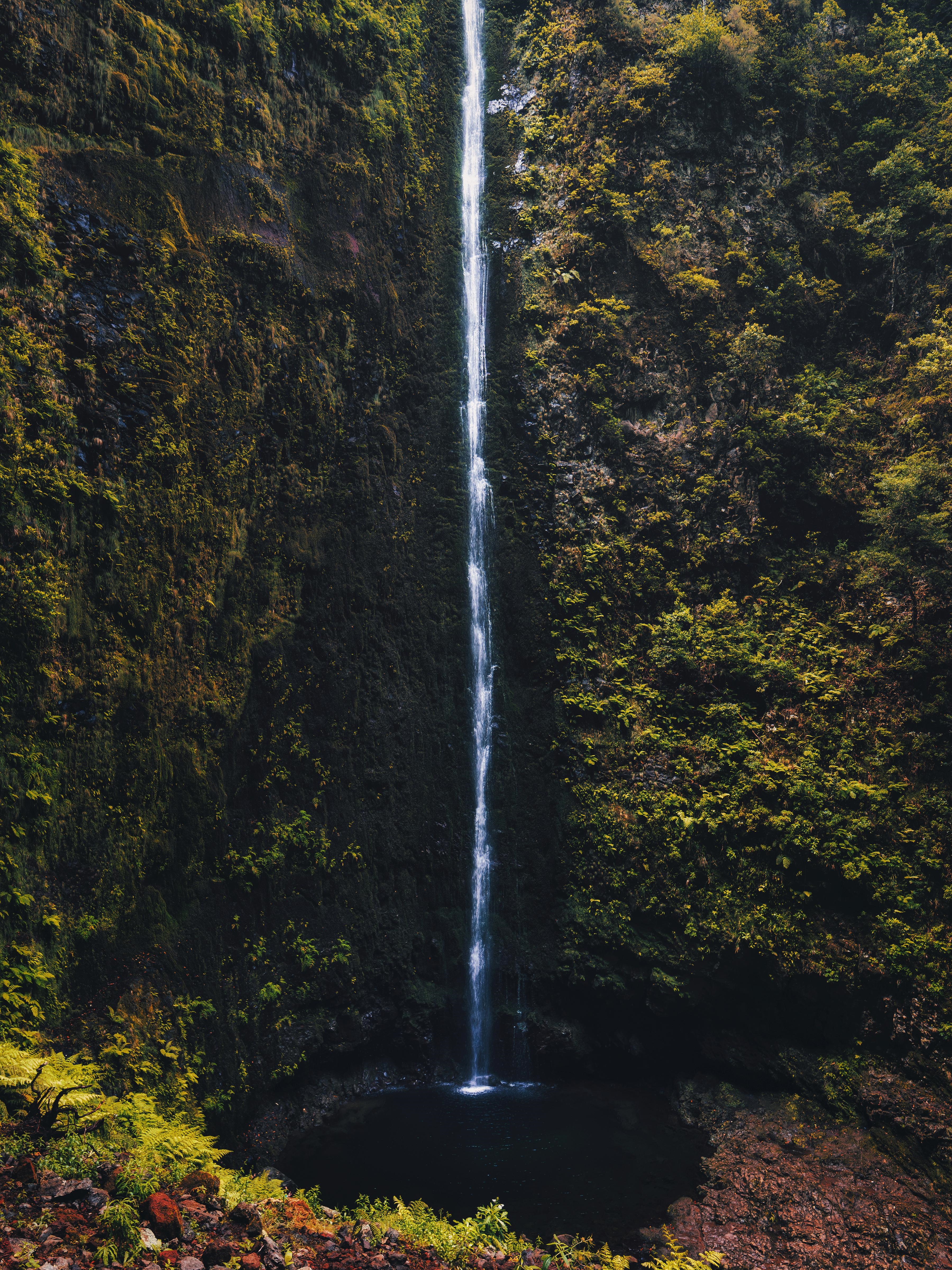 Waterfall cascading down a moss-covered cliff in Madeira HD Phone Wallpaper