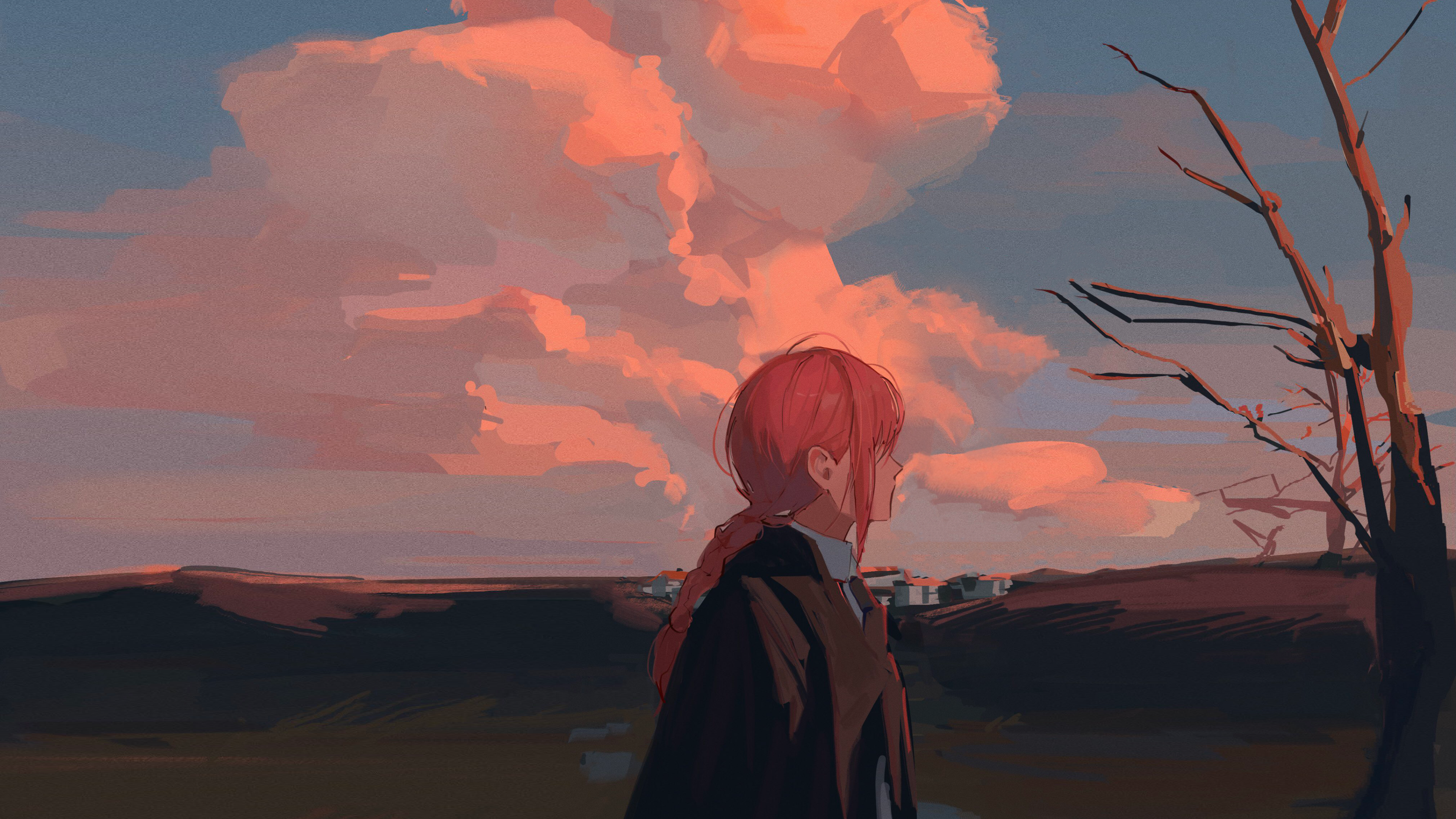 Anime girl with braids looking at sunset clouds HD Wallpaper