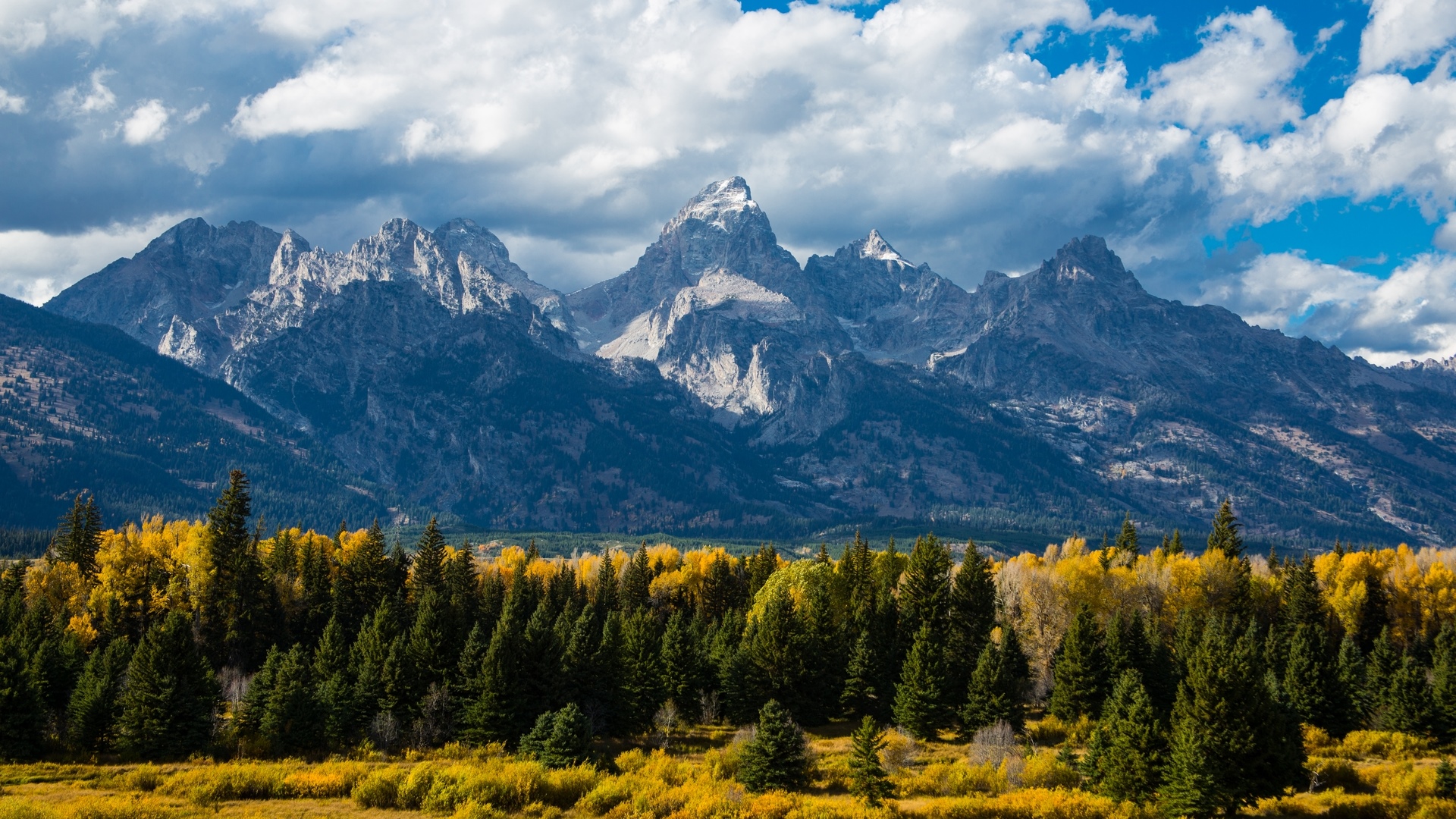 Grand Teton National Park mountains with autumn trees HD Wallpaper