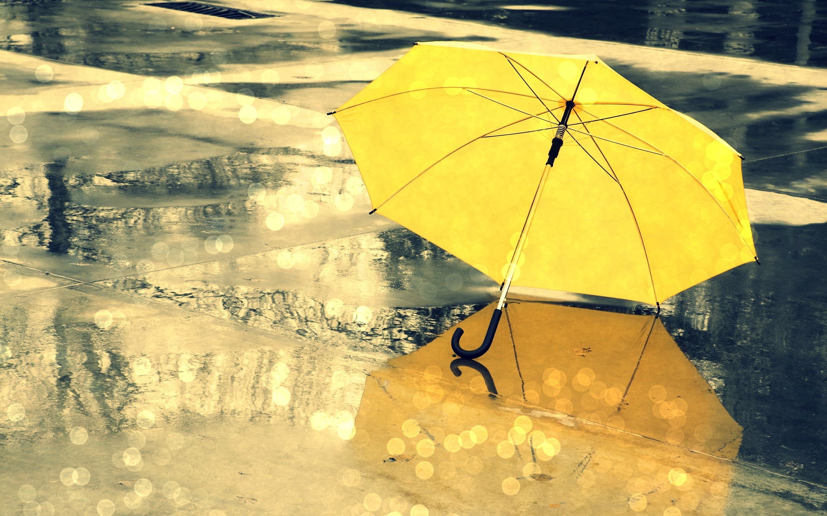 Yellow umbrella reflected on a wet street with bokeh HD Wallpaper