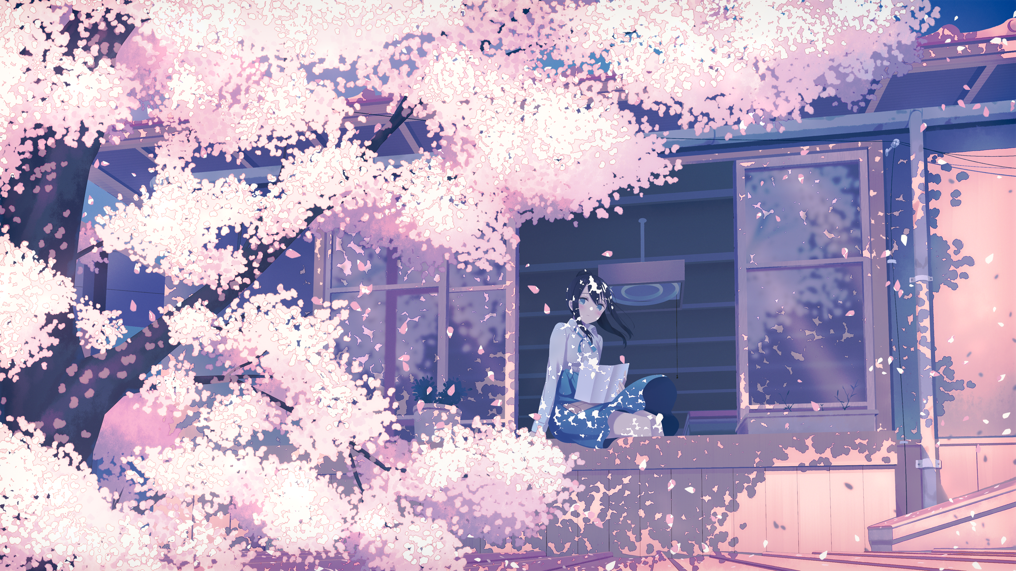 Girl reading by a window under cherry blossoms HD Wallpaper