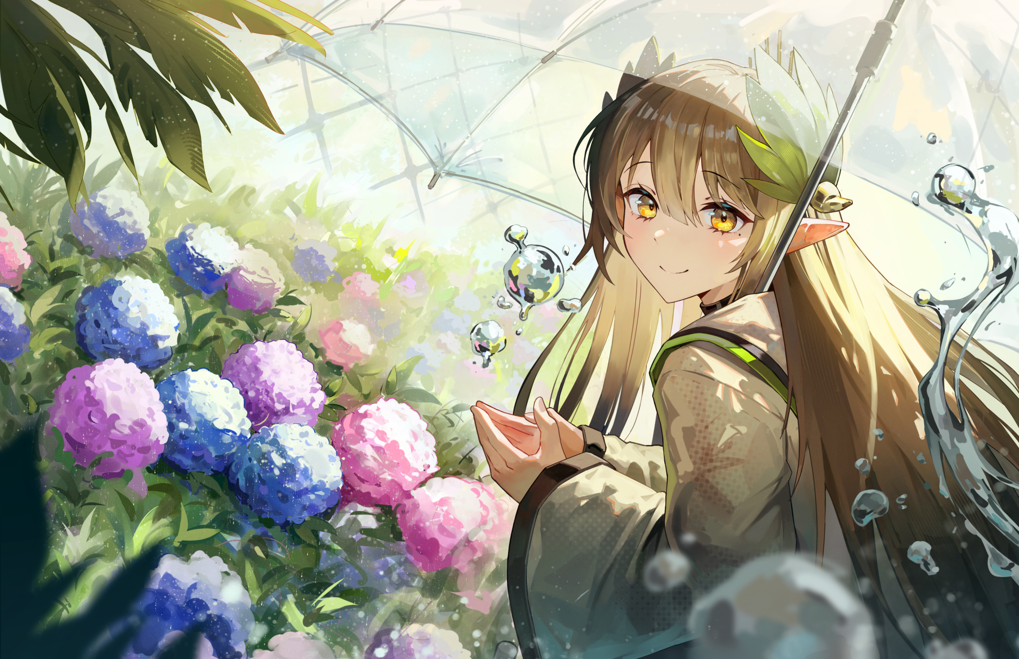 Anime girl with umbrella in hydrangeas HD Wallpaper