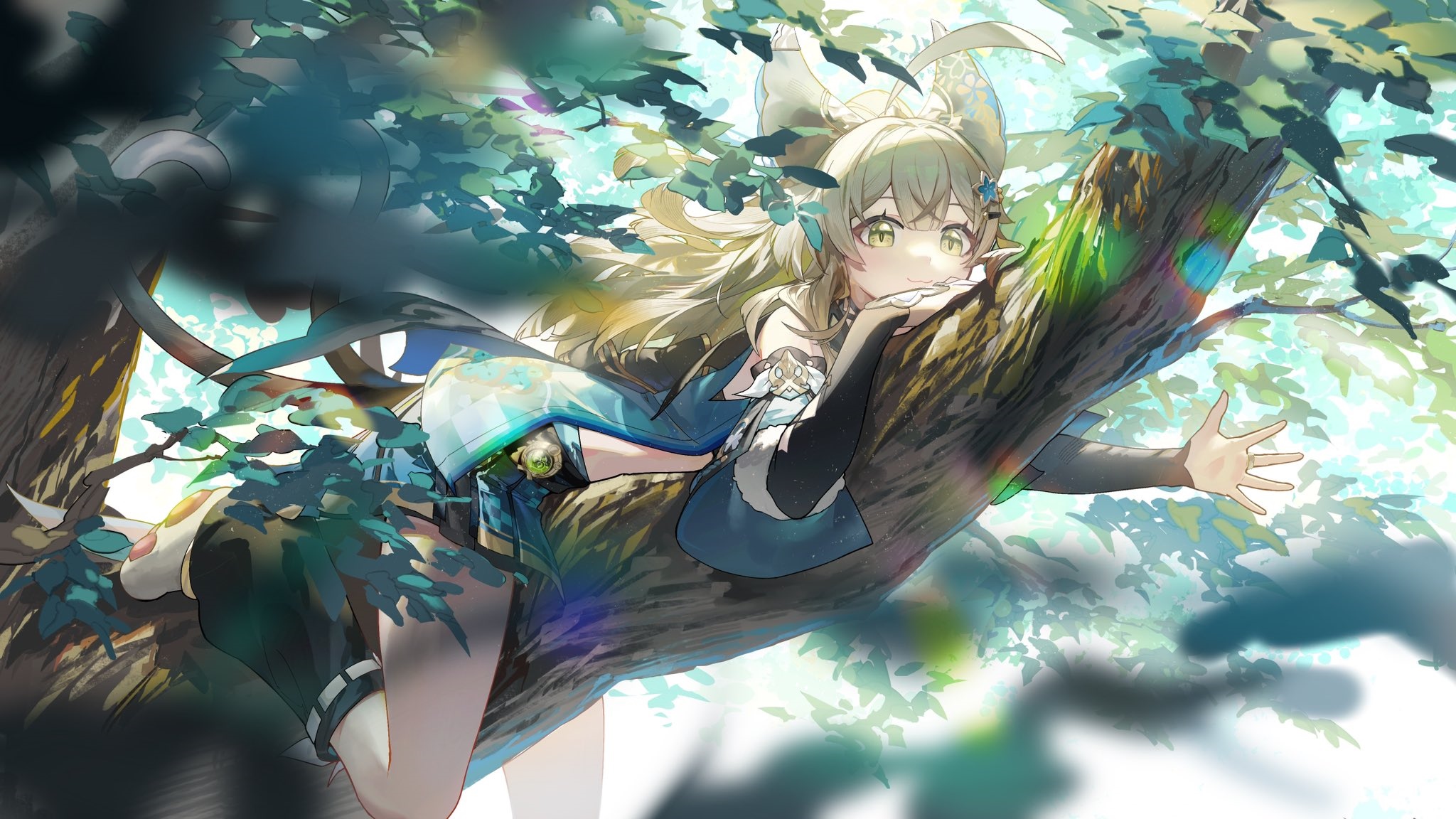 Kirara from Genshin Impact resting on a tree branch HD Wallpaper