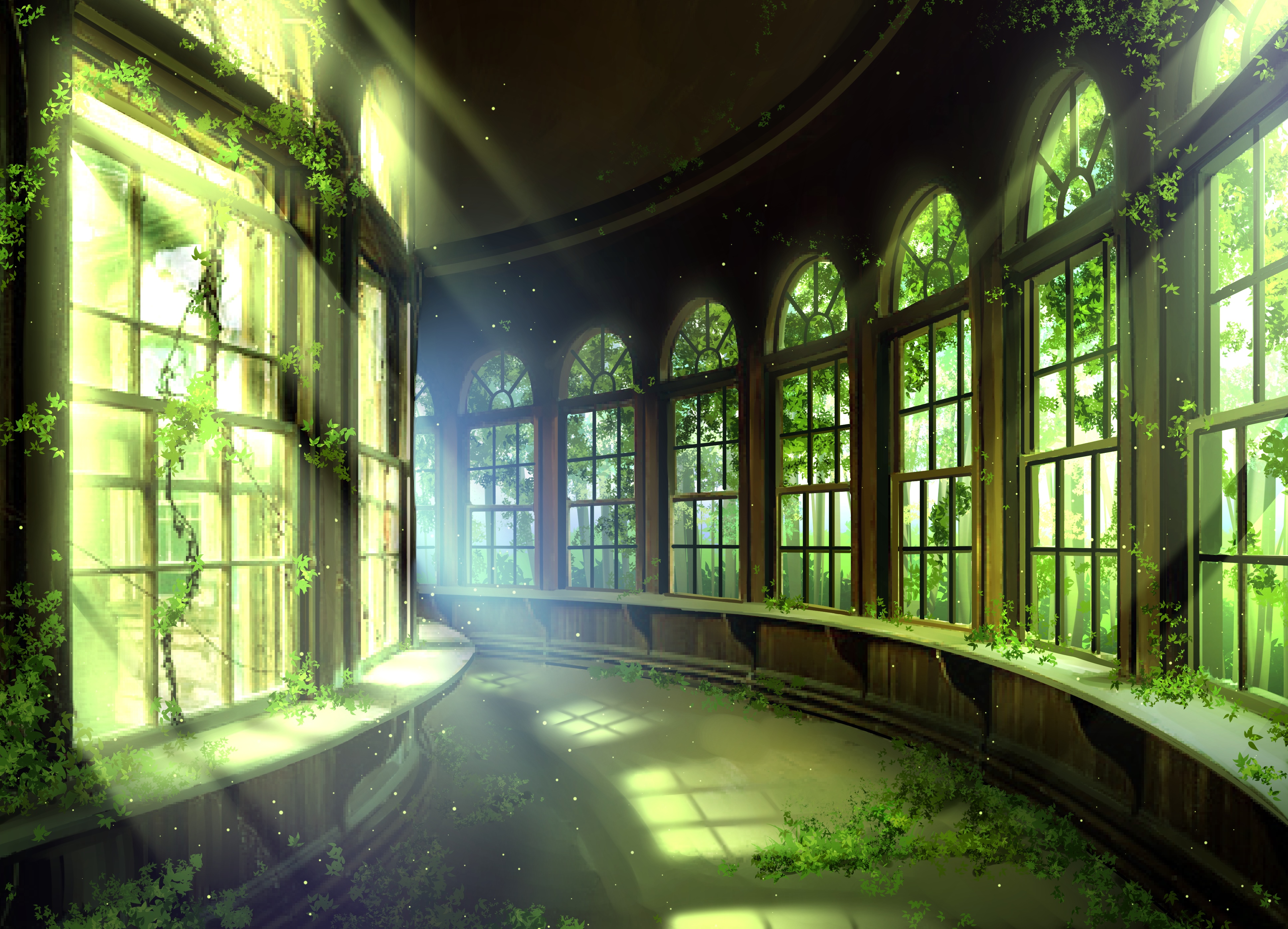 Abandoned room with plants and sunlight through windows HD Wallpaper