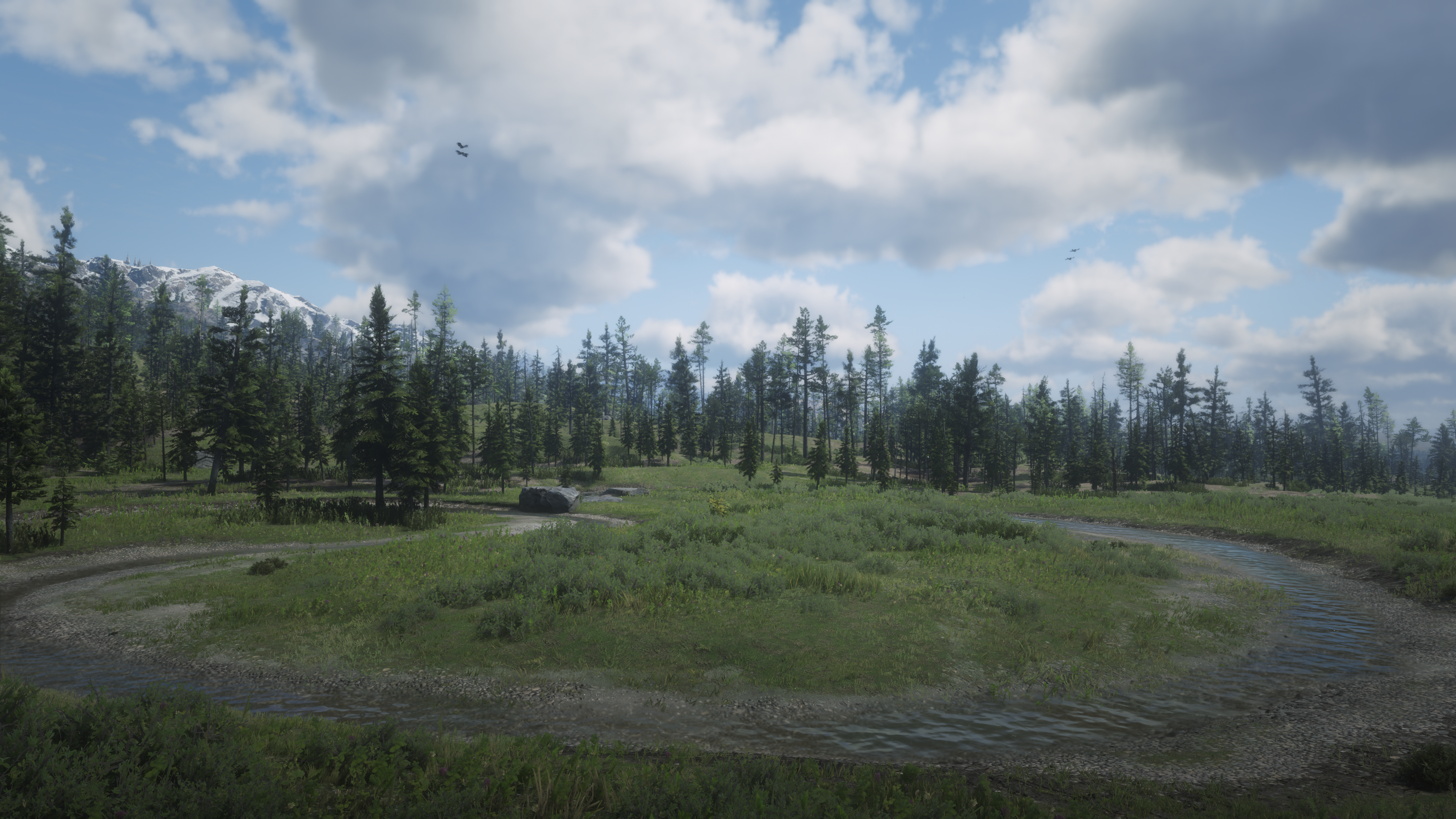 4K Red Dead Redemption 2 Landscape with Mountains and Forest HD Wallpaper