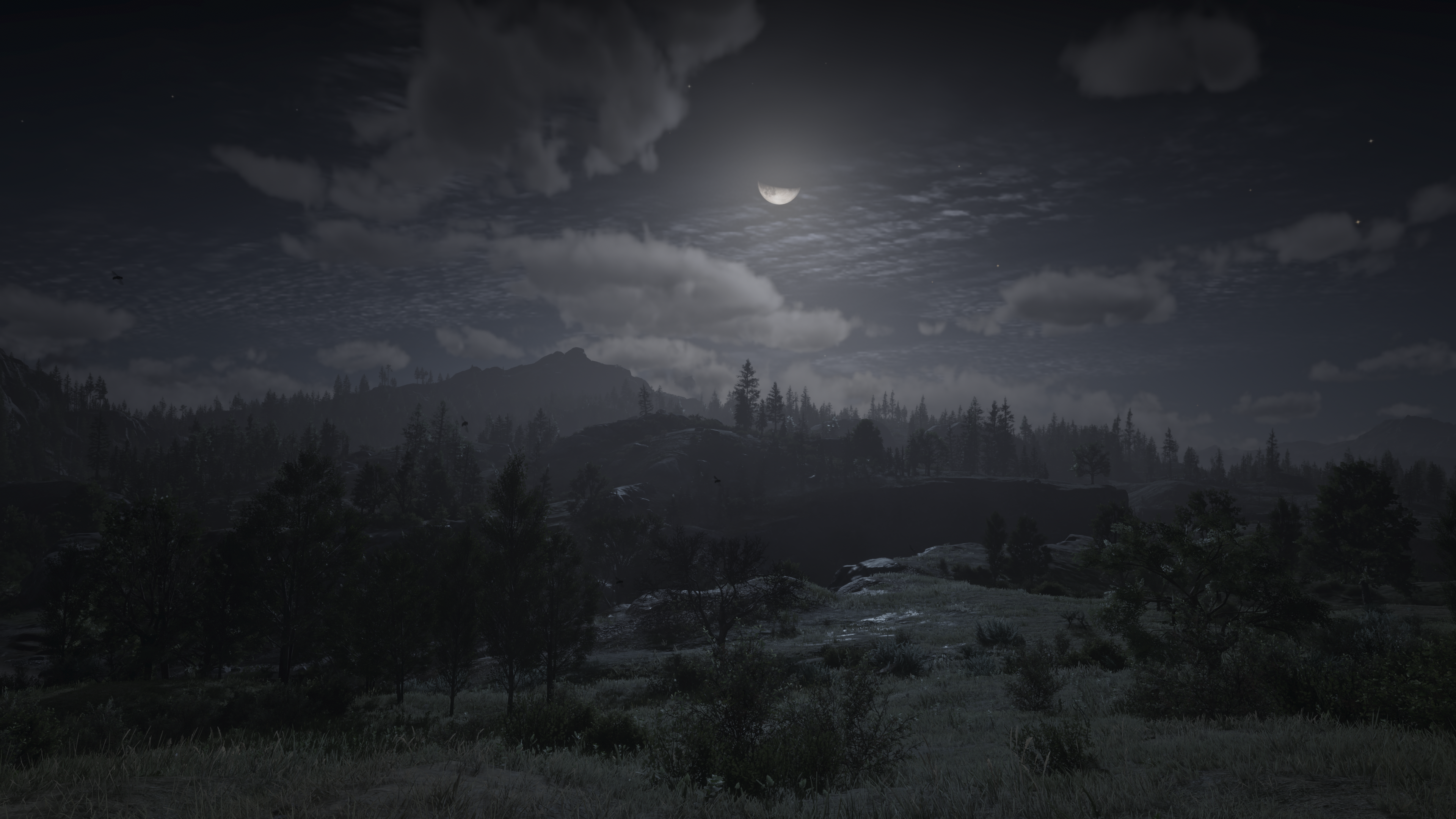 4K night landscape in Red Dead Redemption 2 HD Wallpaper