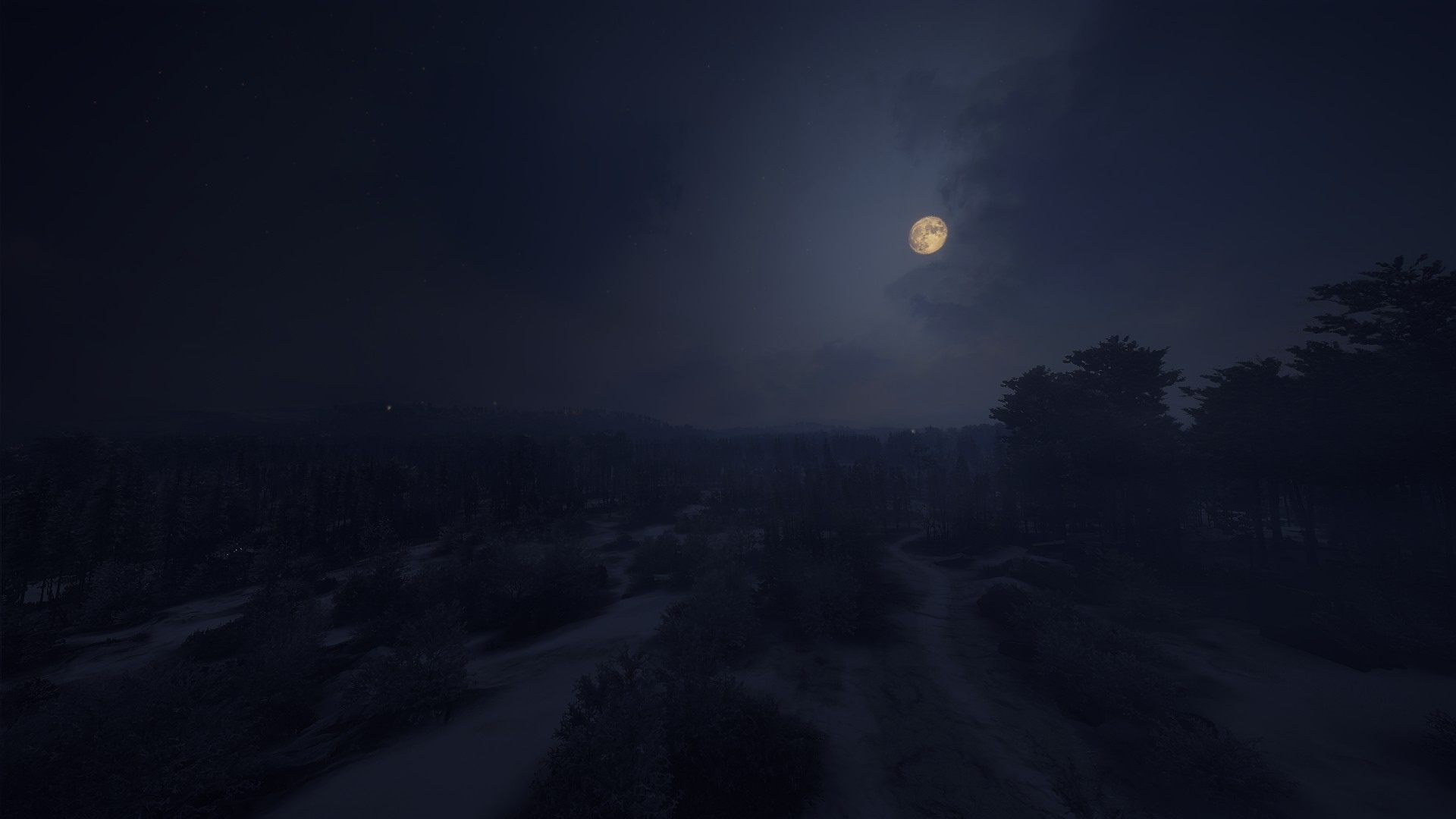 TheHunter: Call of the Wild night landscape with moon and snow HD Wallpaper