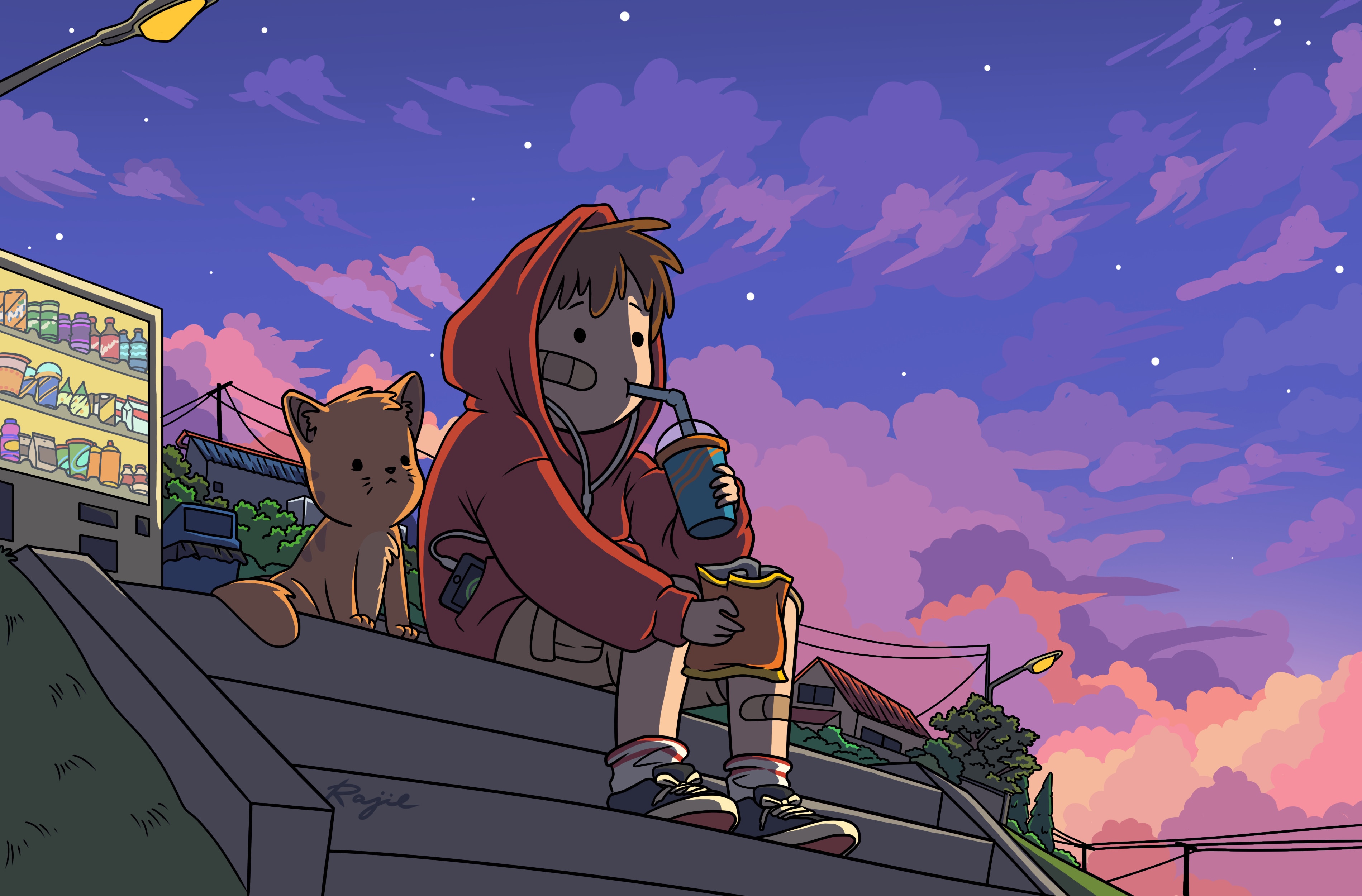 Boy and cat by vending machine at sunset HD Wallpaper