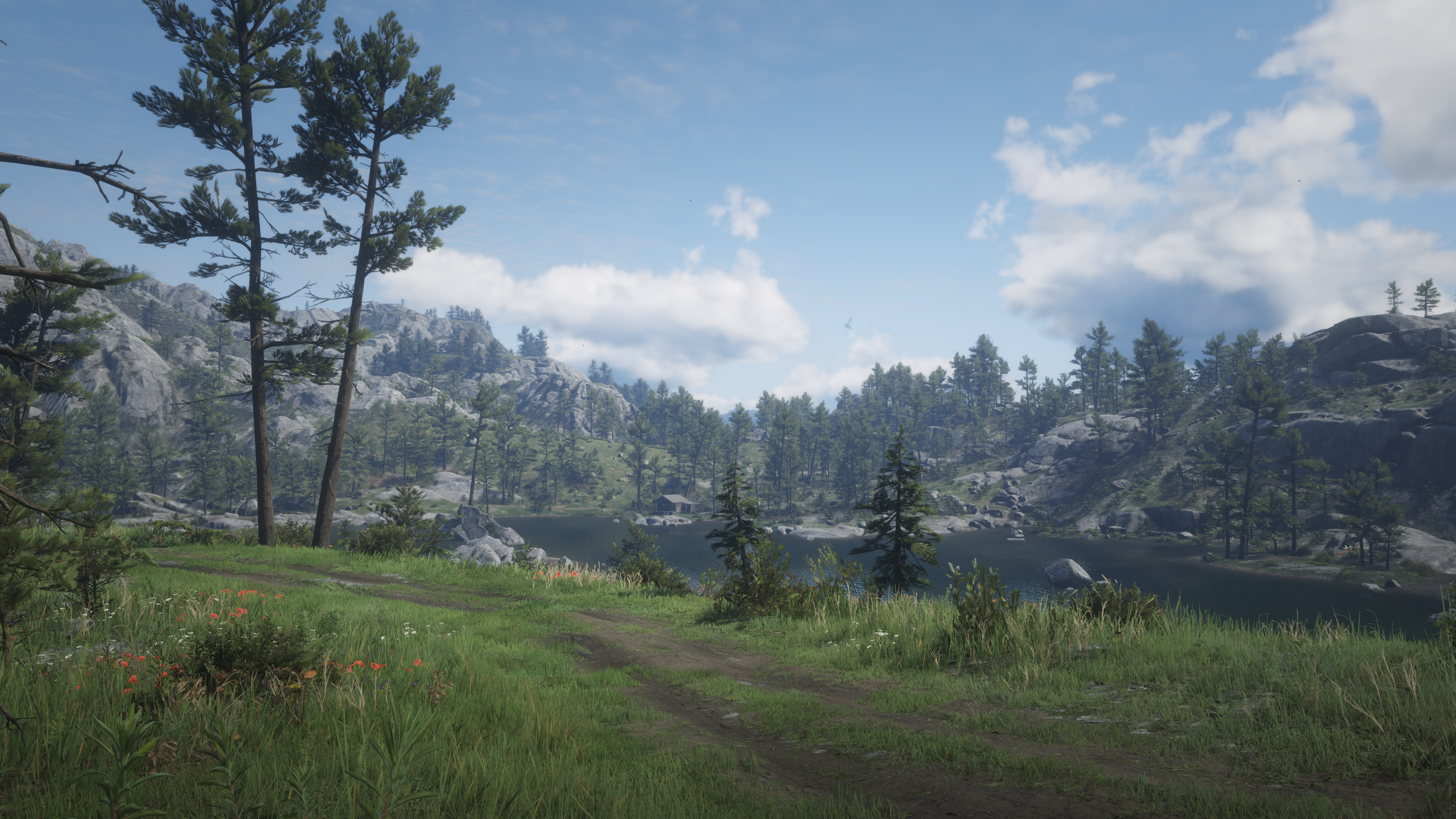 4K landscape with mountains, trees, and a lake in Red Dead Redemption 2 HD Wallpaper