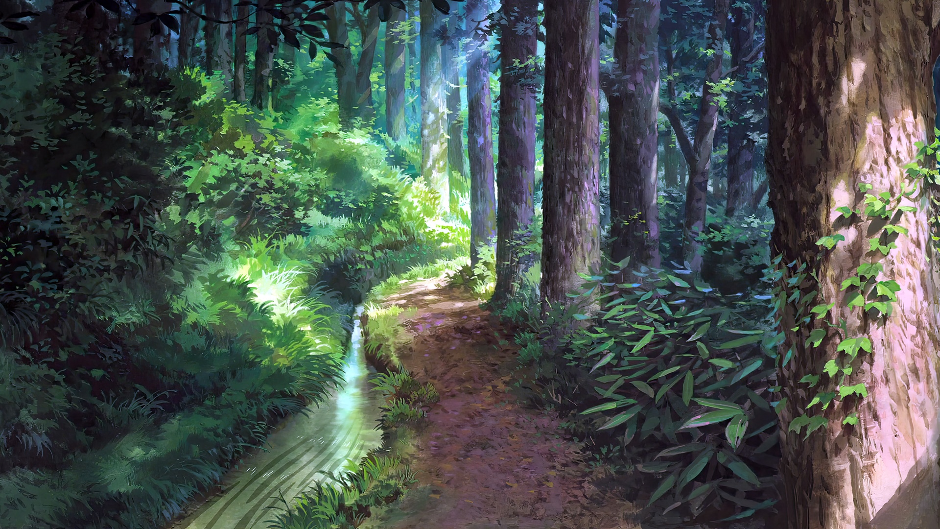 Forest path with a stream and trees HD Wallpaper