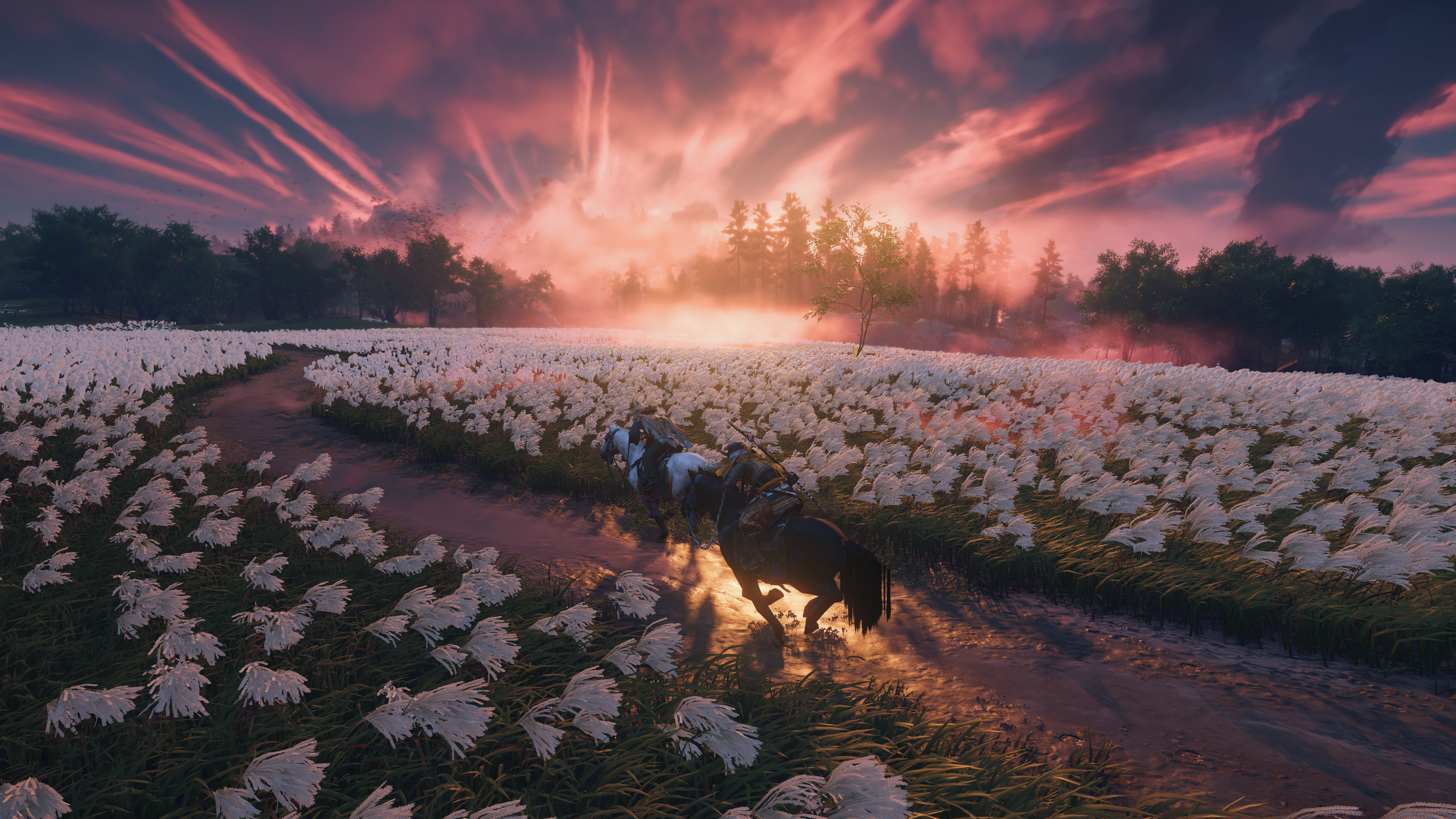 4K Ghost of Tsushima Samurai Sunset HD Wallpaper
