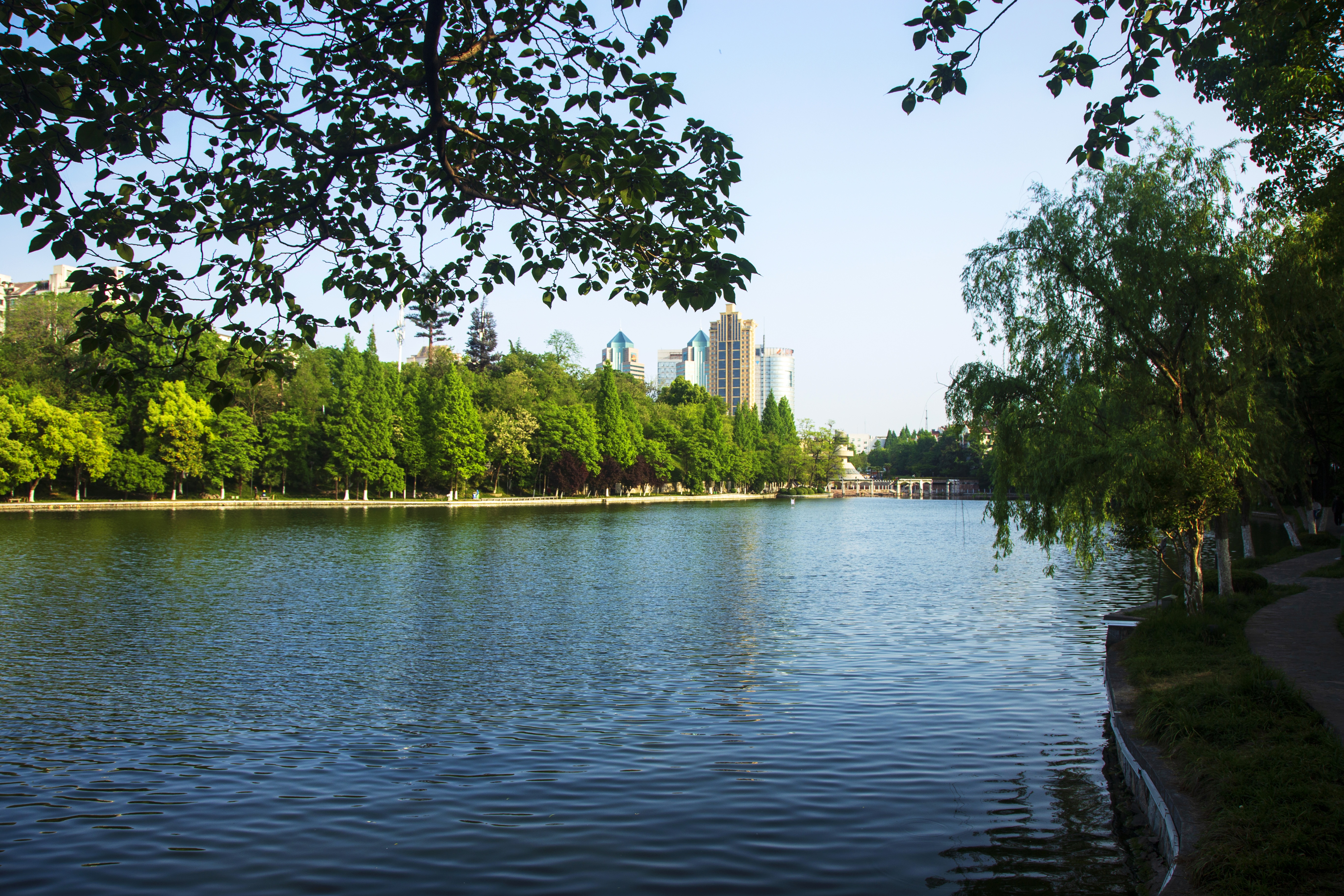 City park with lake and trees HD Wallpaper
