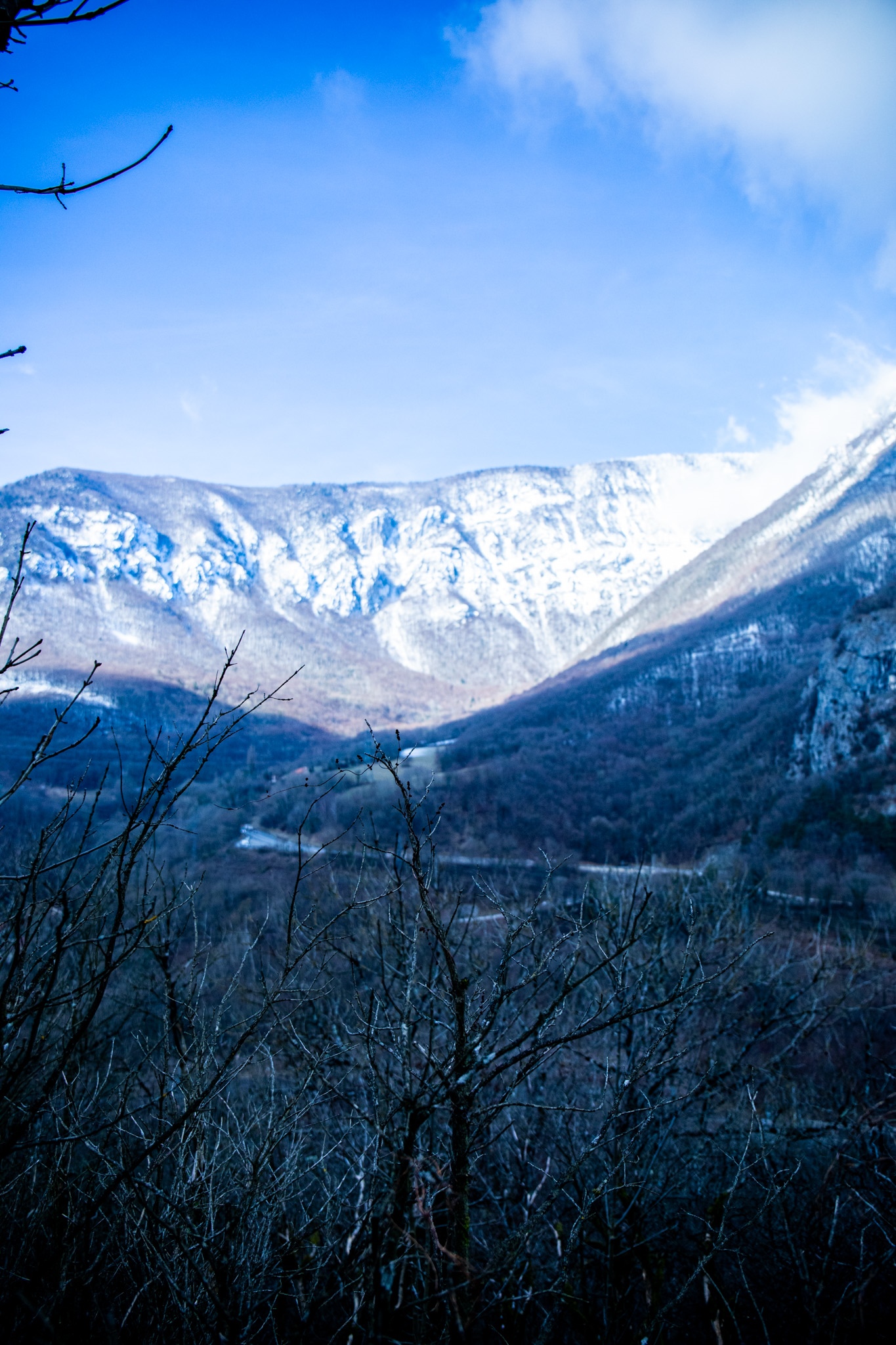 Snow-covered mountains and bare trees in winter HD Phone Wallpaper