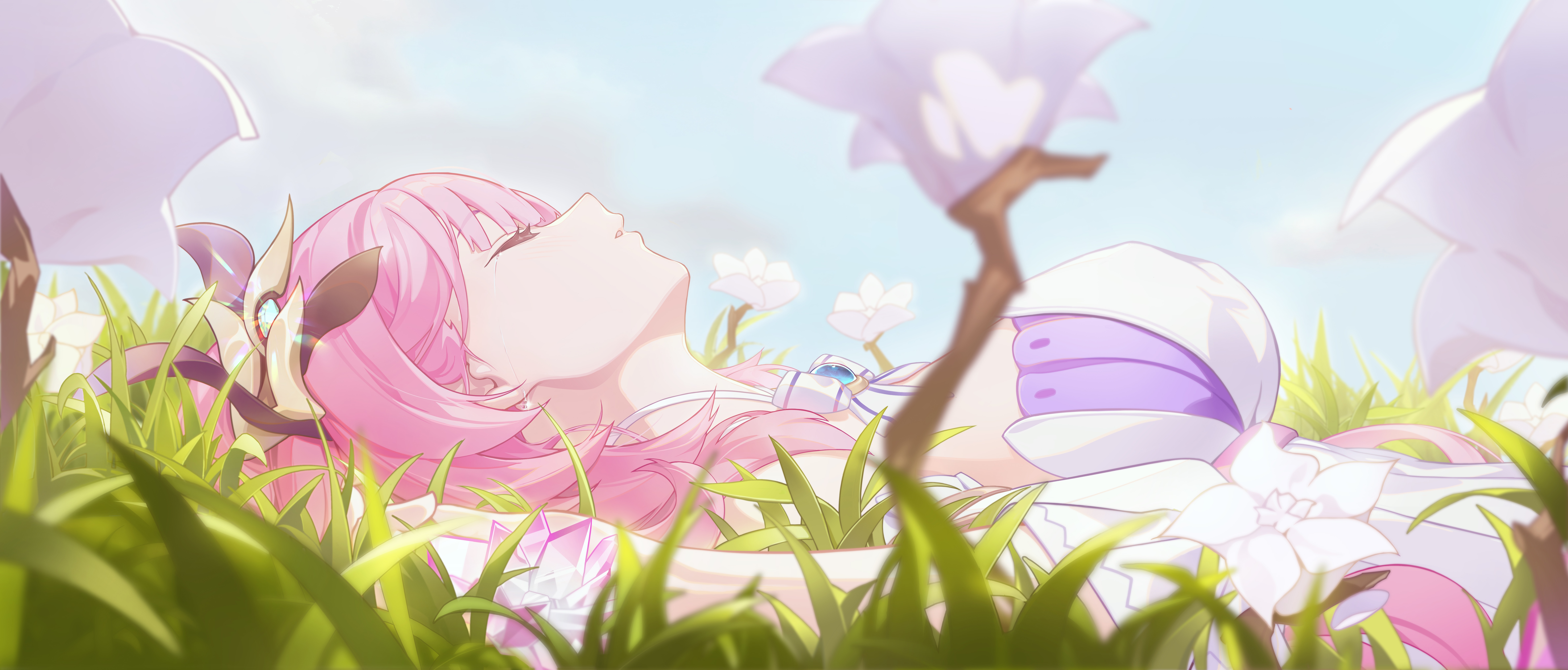 4K Elysia from Honkai Impact 3rd lying in grass HD Wallpaper