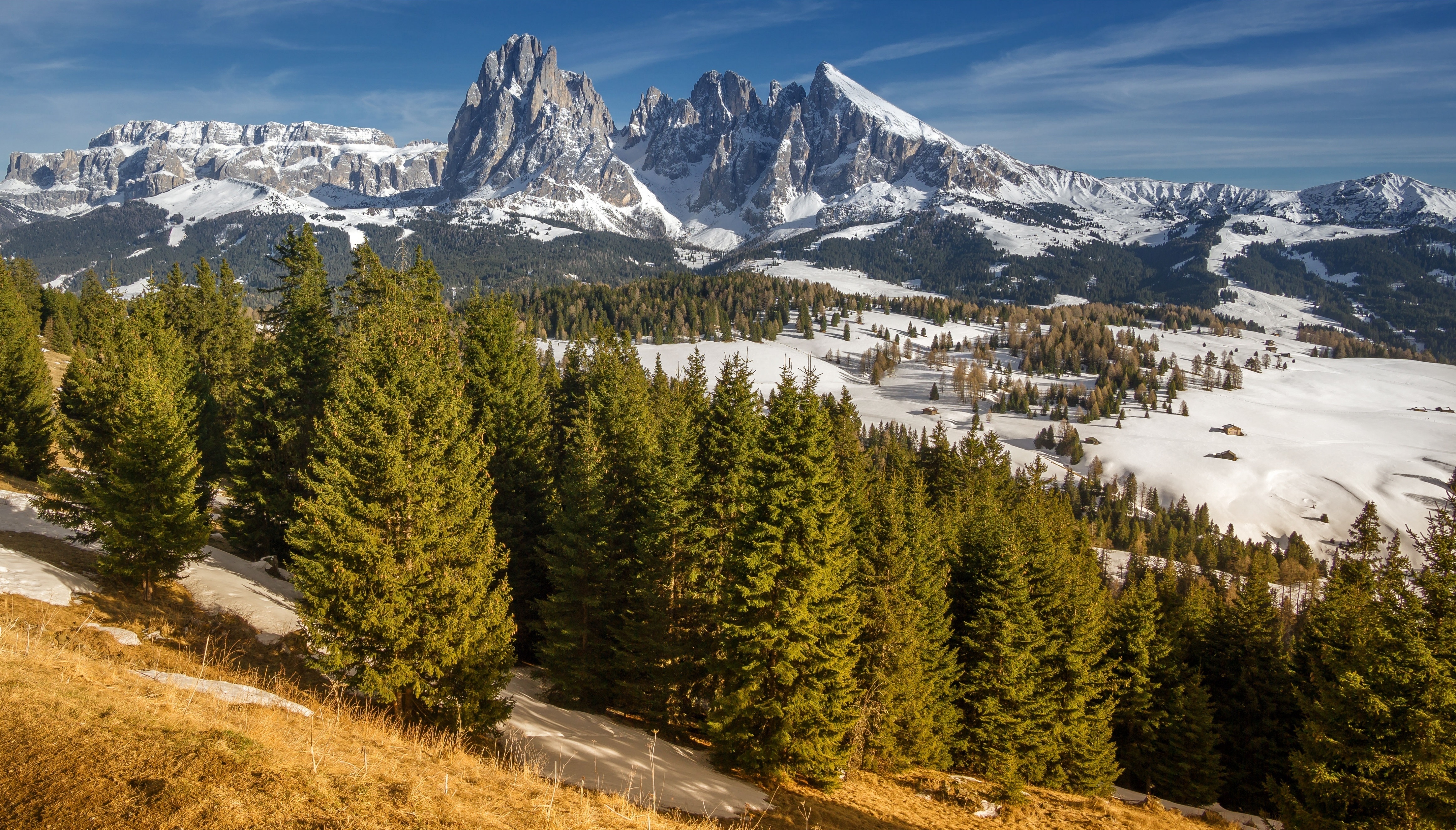 Snowy mountains and evergreen trees landscape HD Wallpaper