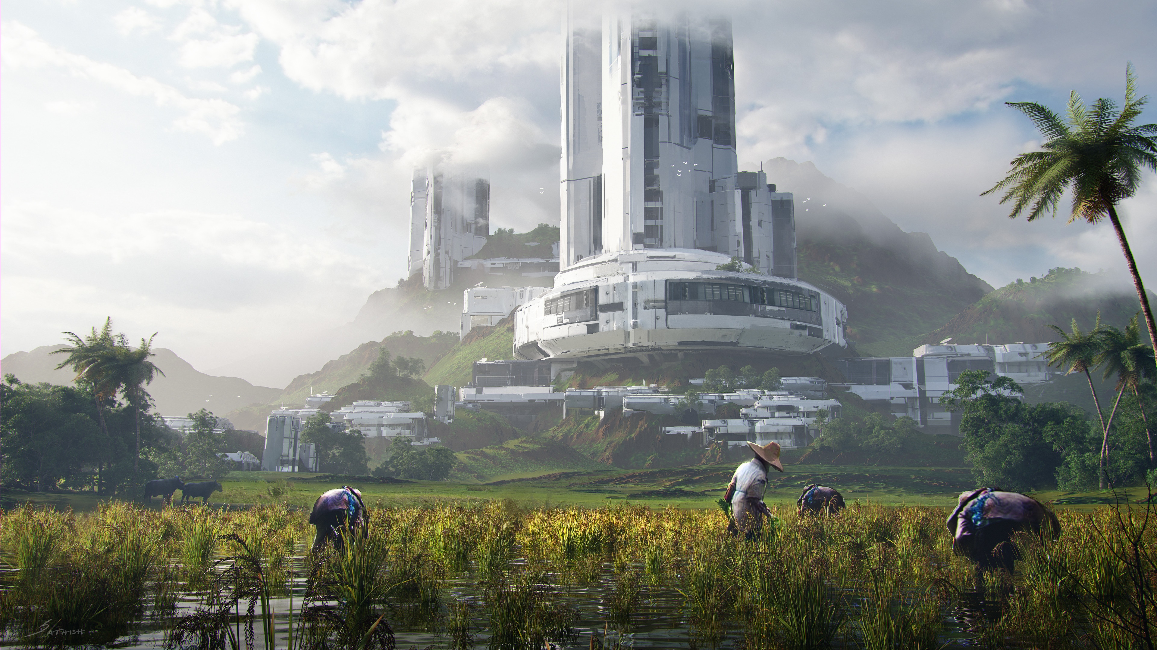 4K futuristic buildings in rice fields HD Wallpaper