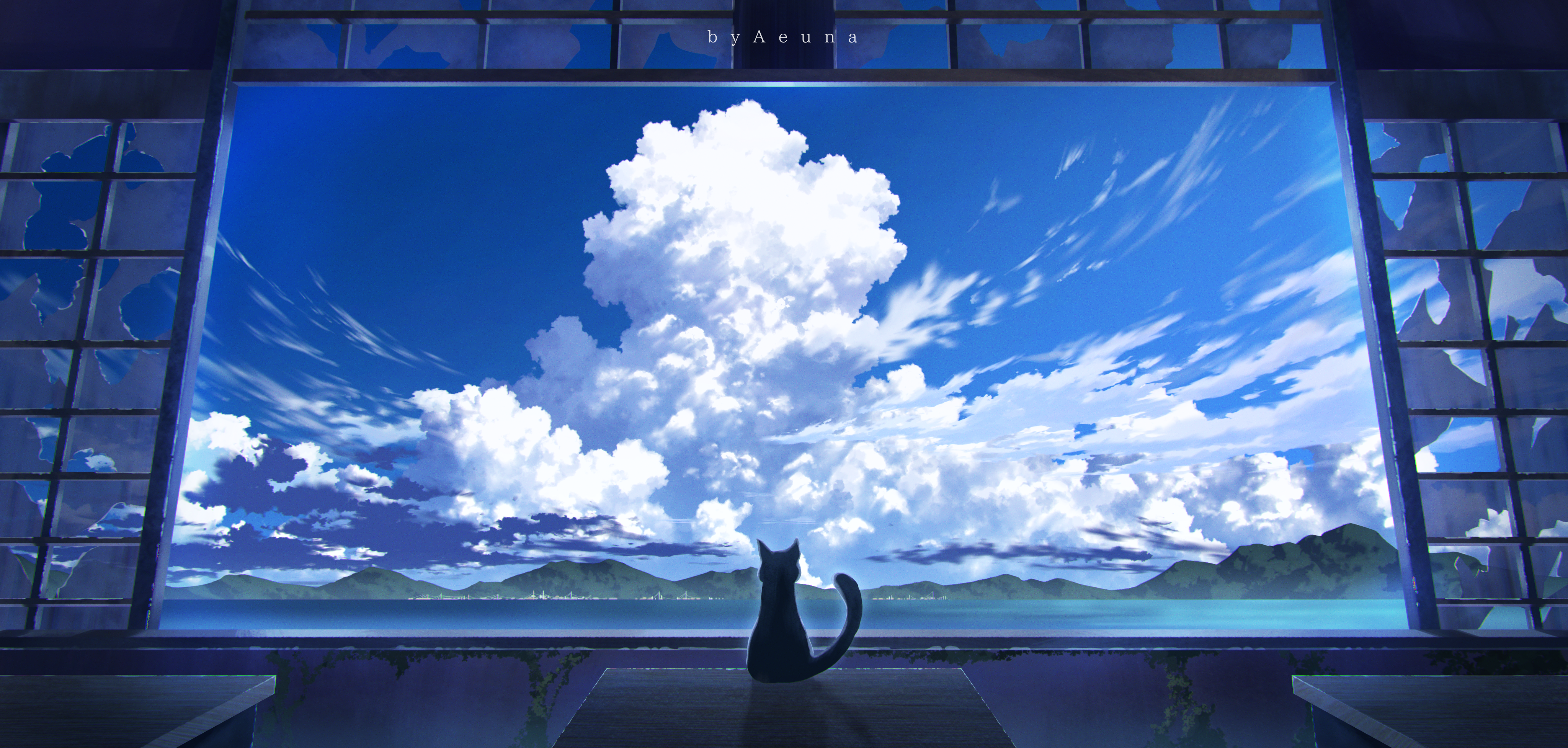 Cat looking at clouds through a broken window HD Wallpaper