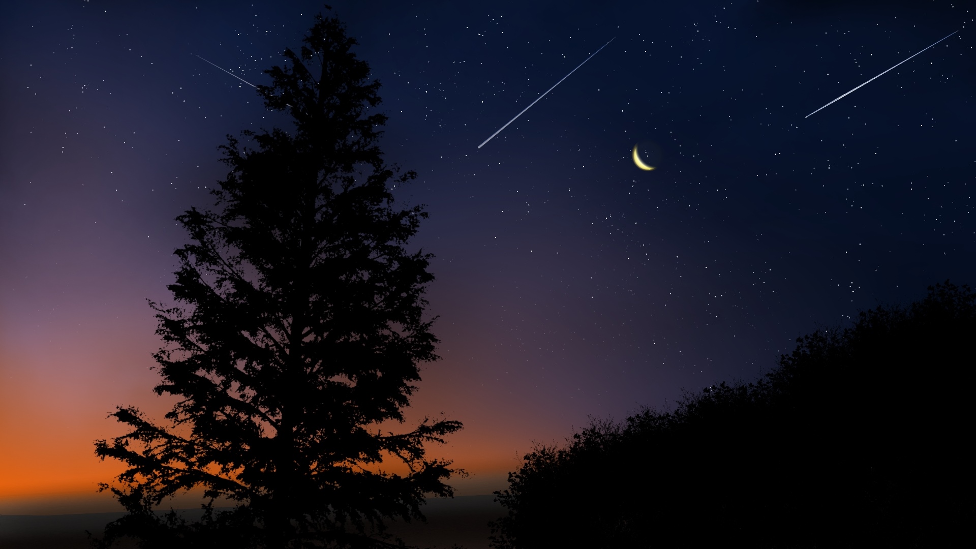 Starry night sky with meteors and crescent moon over silhouetted trees HD Wallpaper