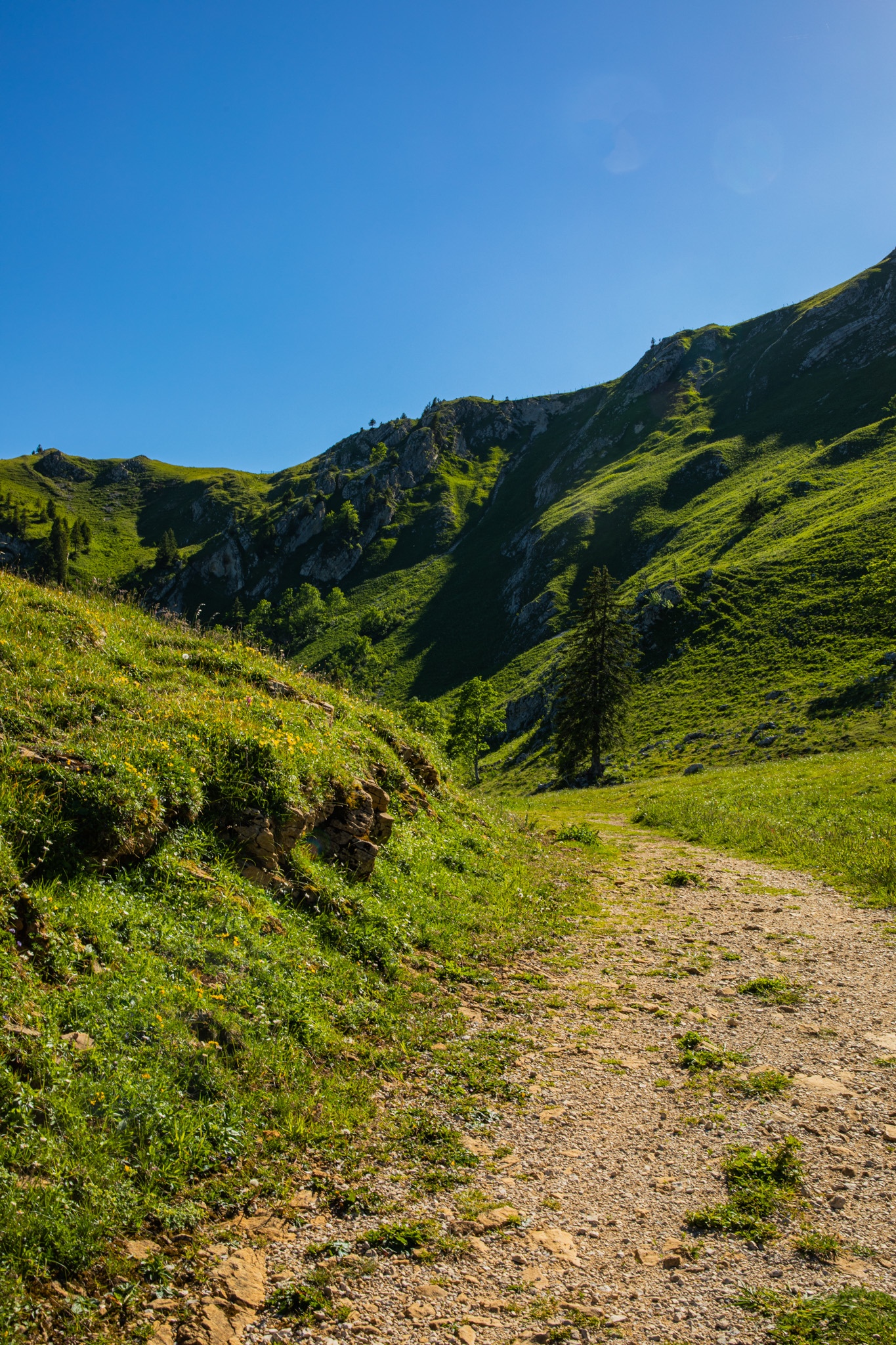 Green mountains and a dirt path under a clear blue sky HD Phone Wallpaper