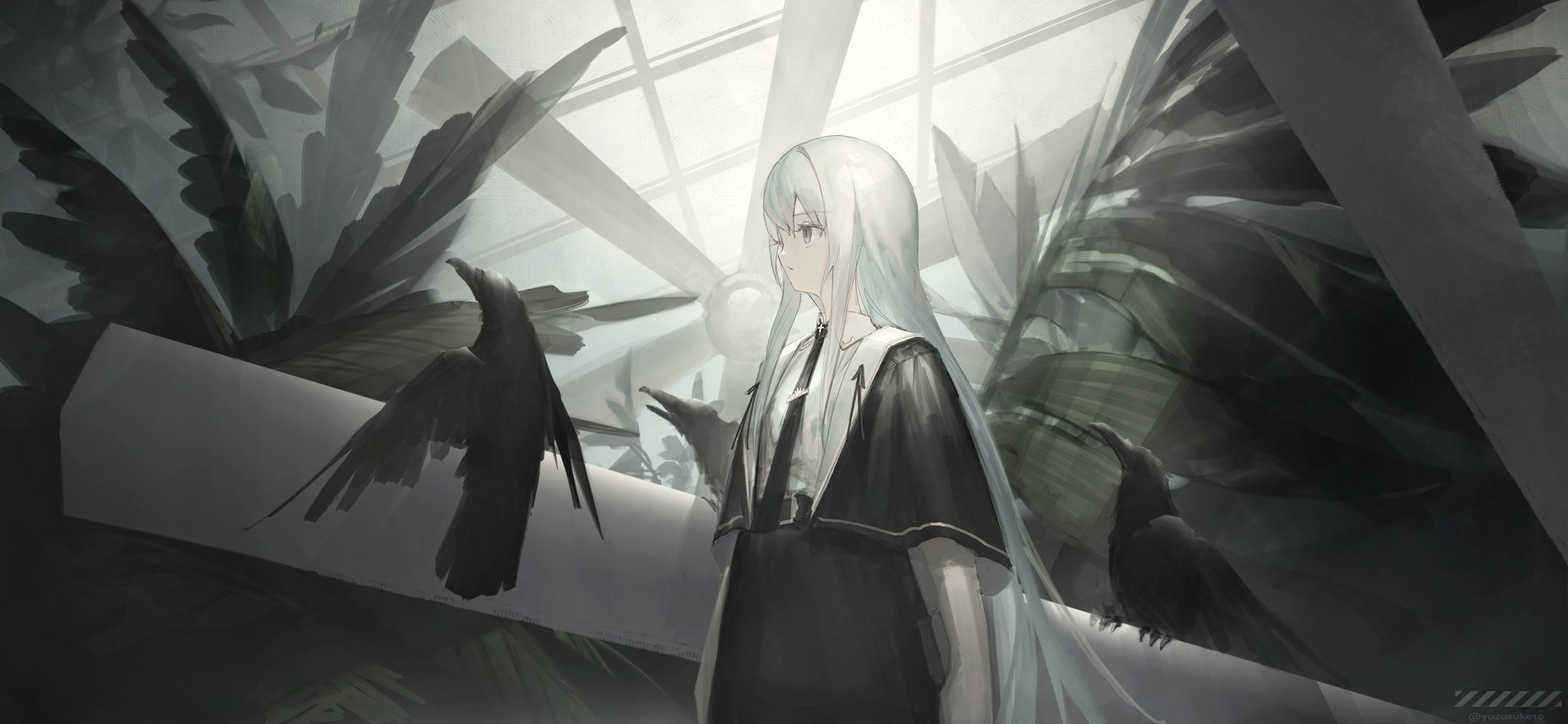 Girl with white hair and crows HD Wallpaper