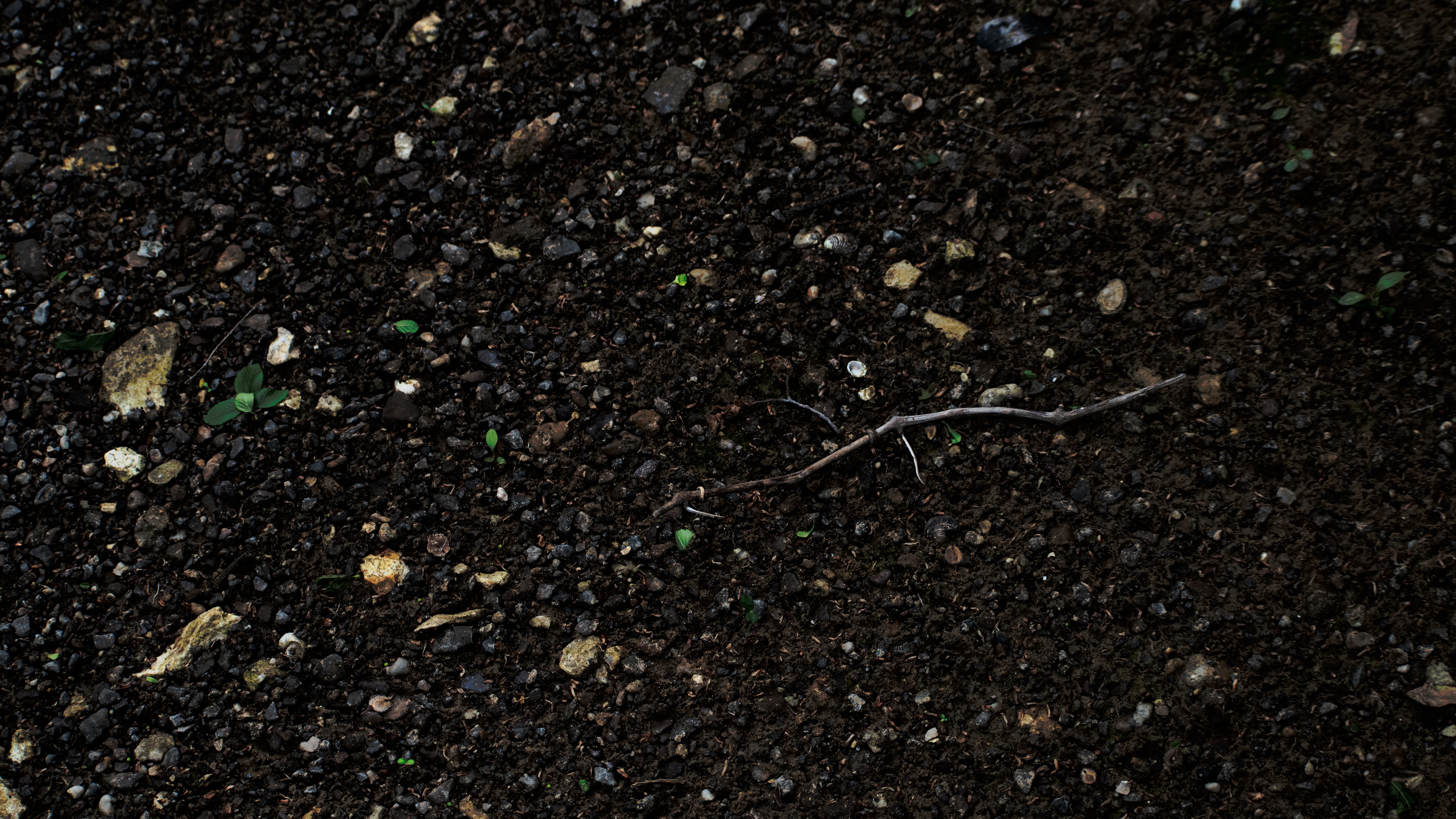 4K ground with rocks and sticks HD Wallpaper