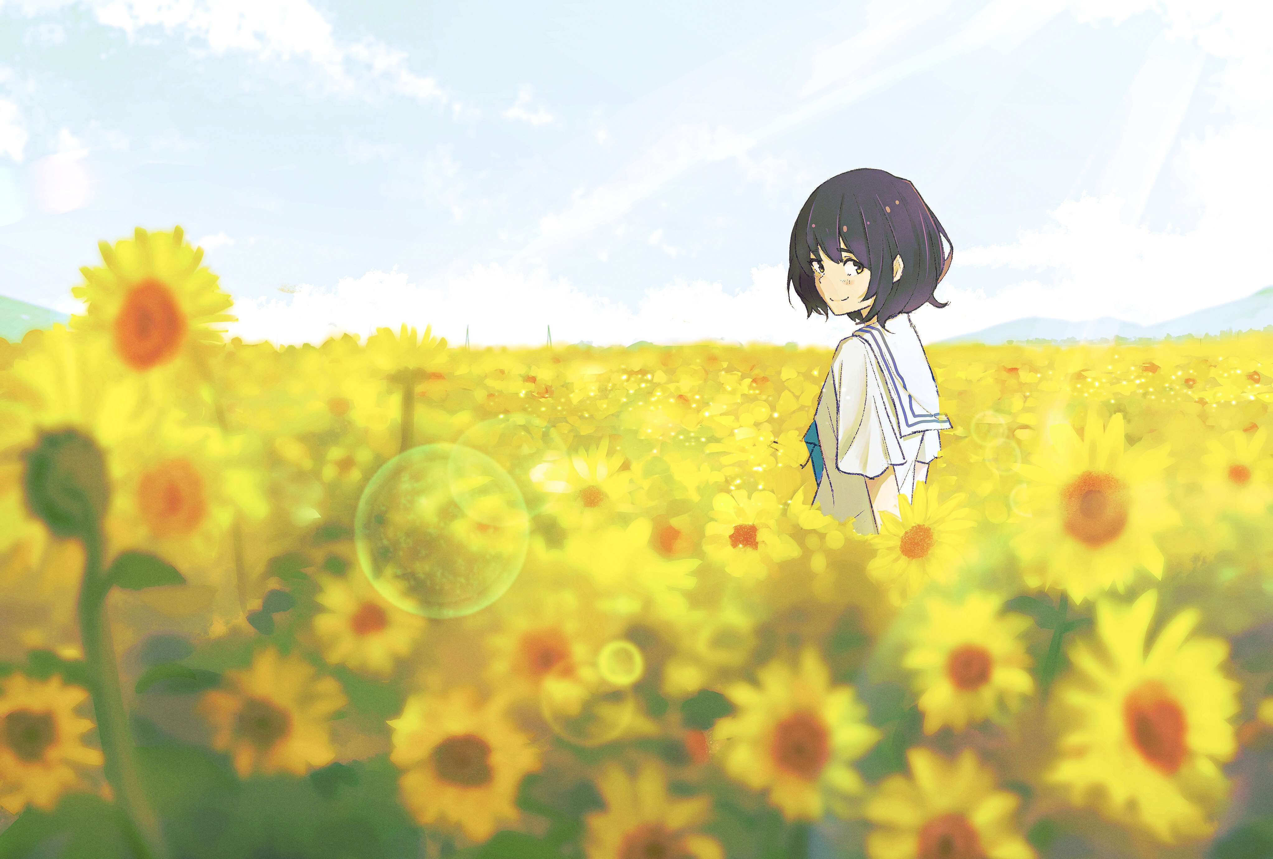 4K girl in sunflower field looking back HD Wallpaper