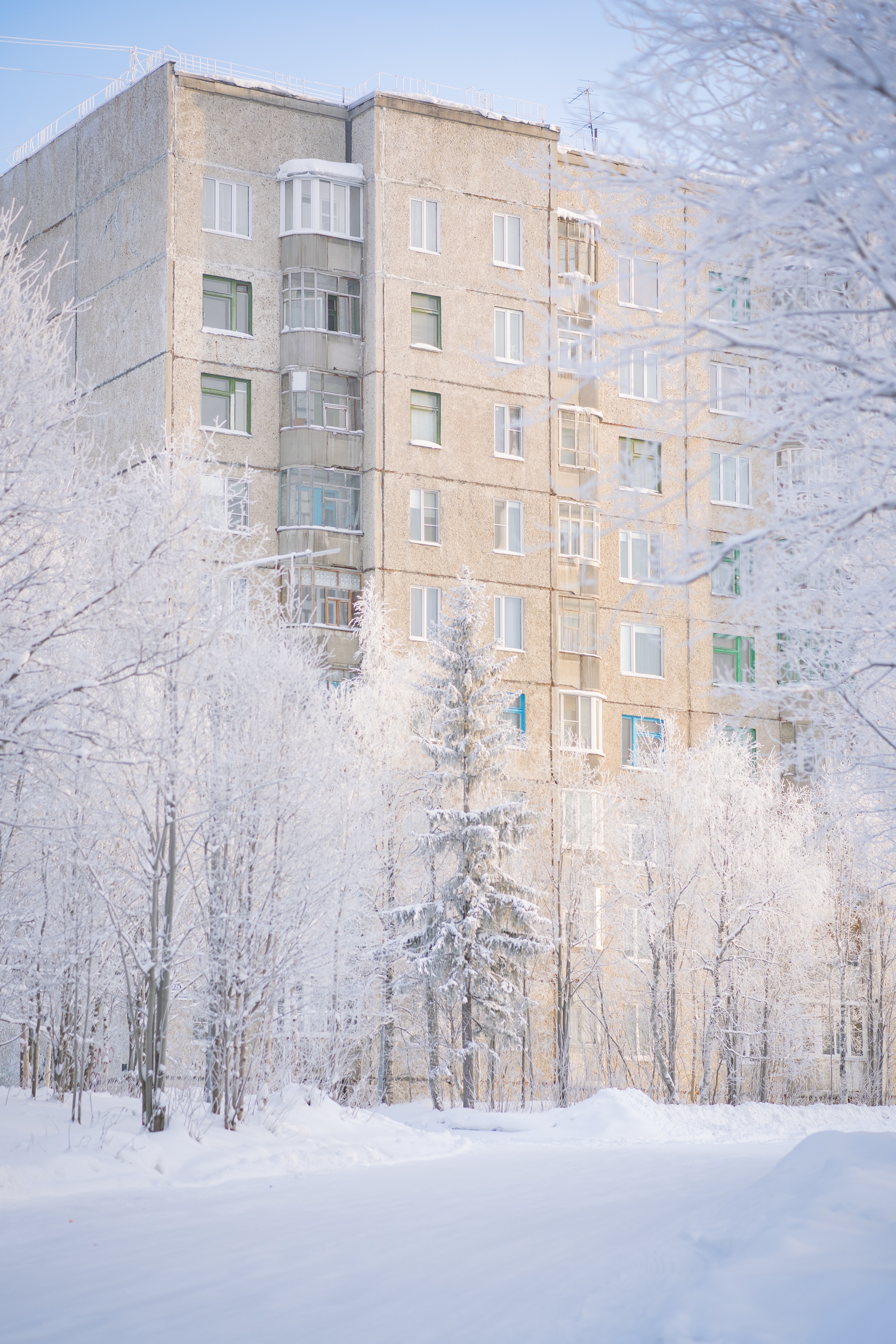 Block of flats in winter with frost and snow HD Phone Wallpaper
