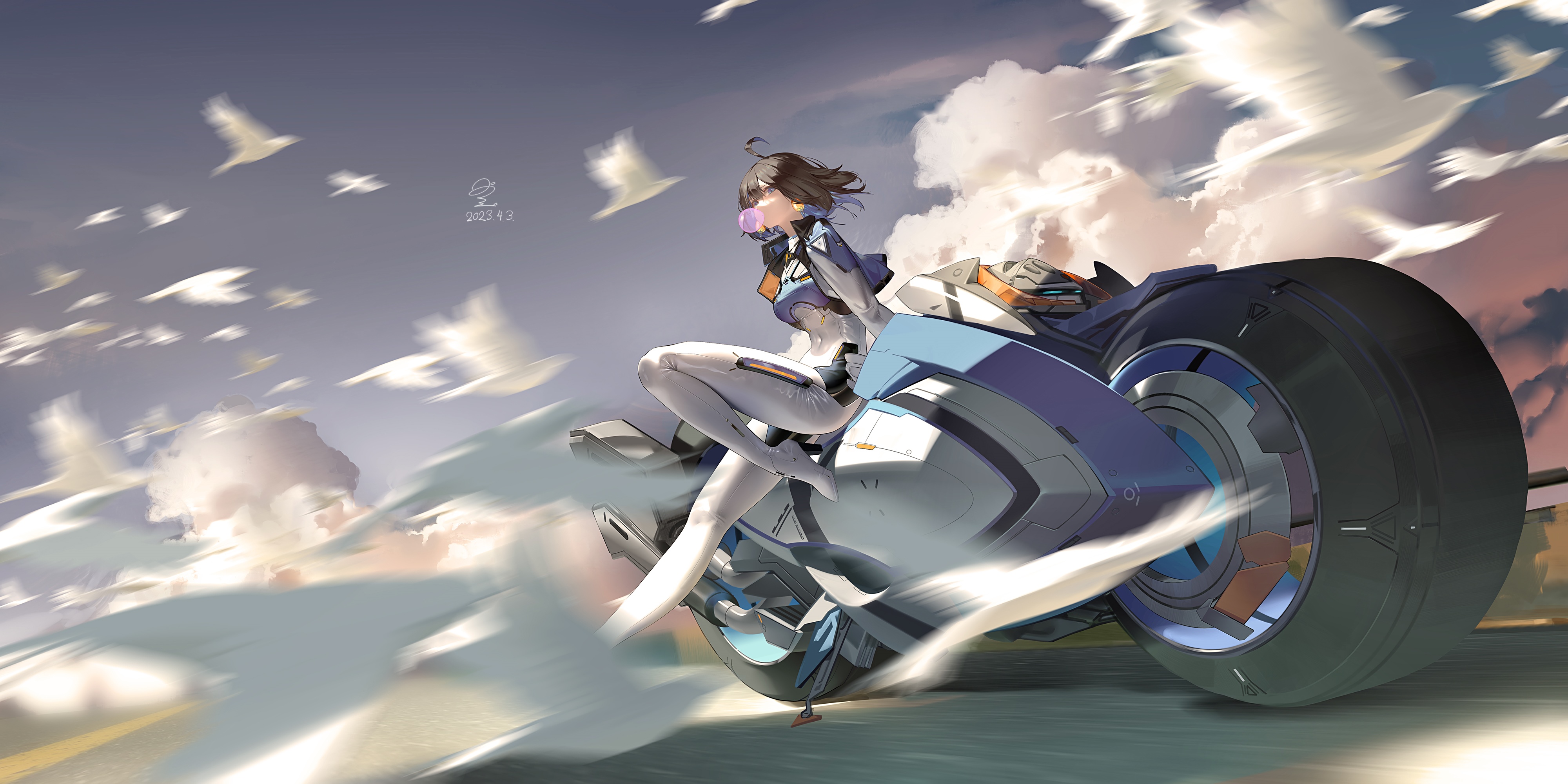 Seele Vollerei on a motorcycle with birds HD Wallpaper