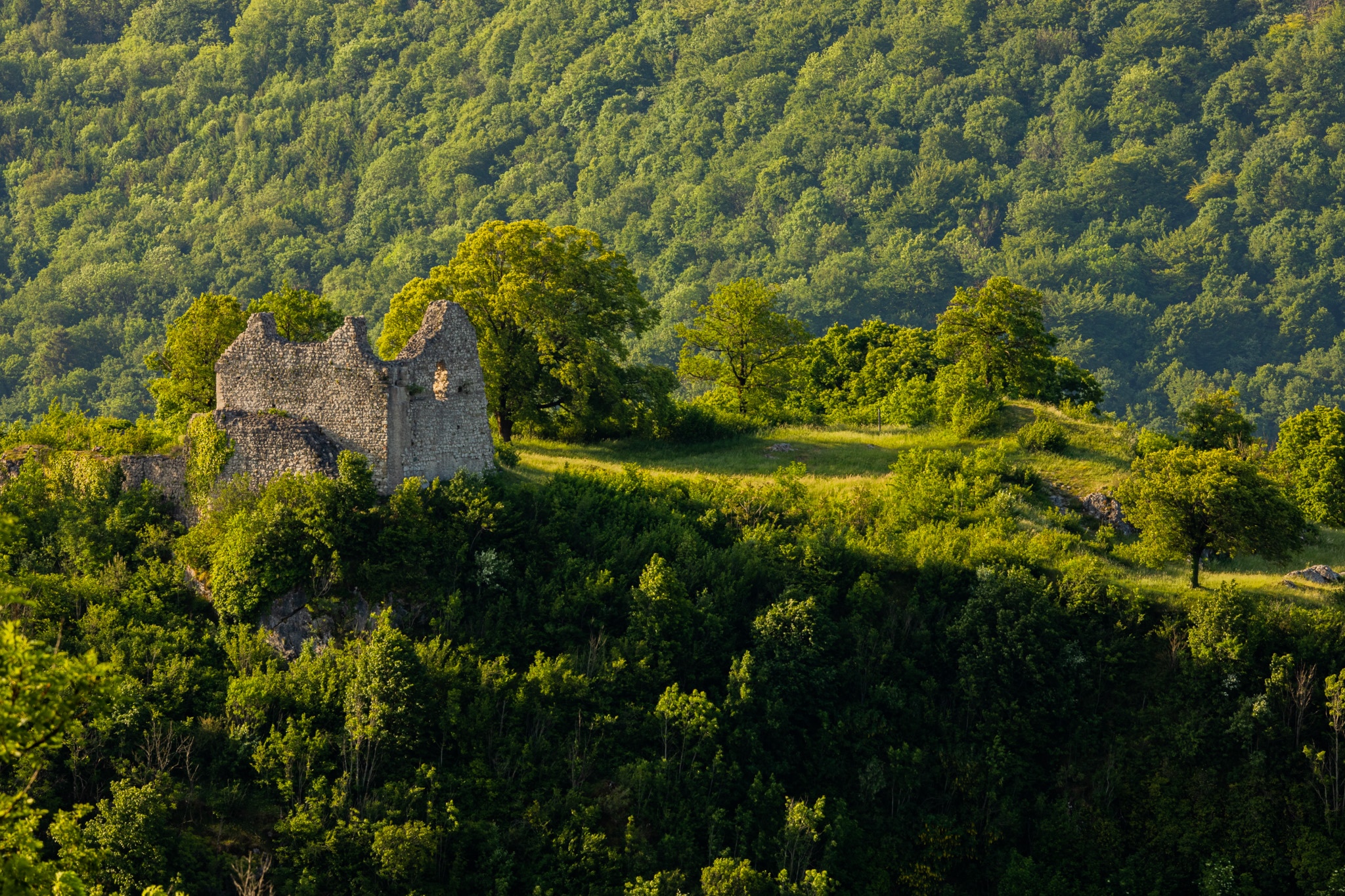 Stone ruins on a green, tree-covered hill HD Wallpaper