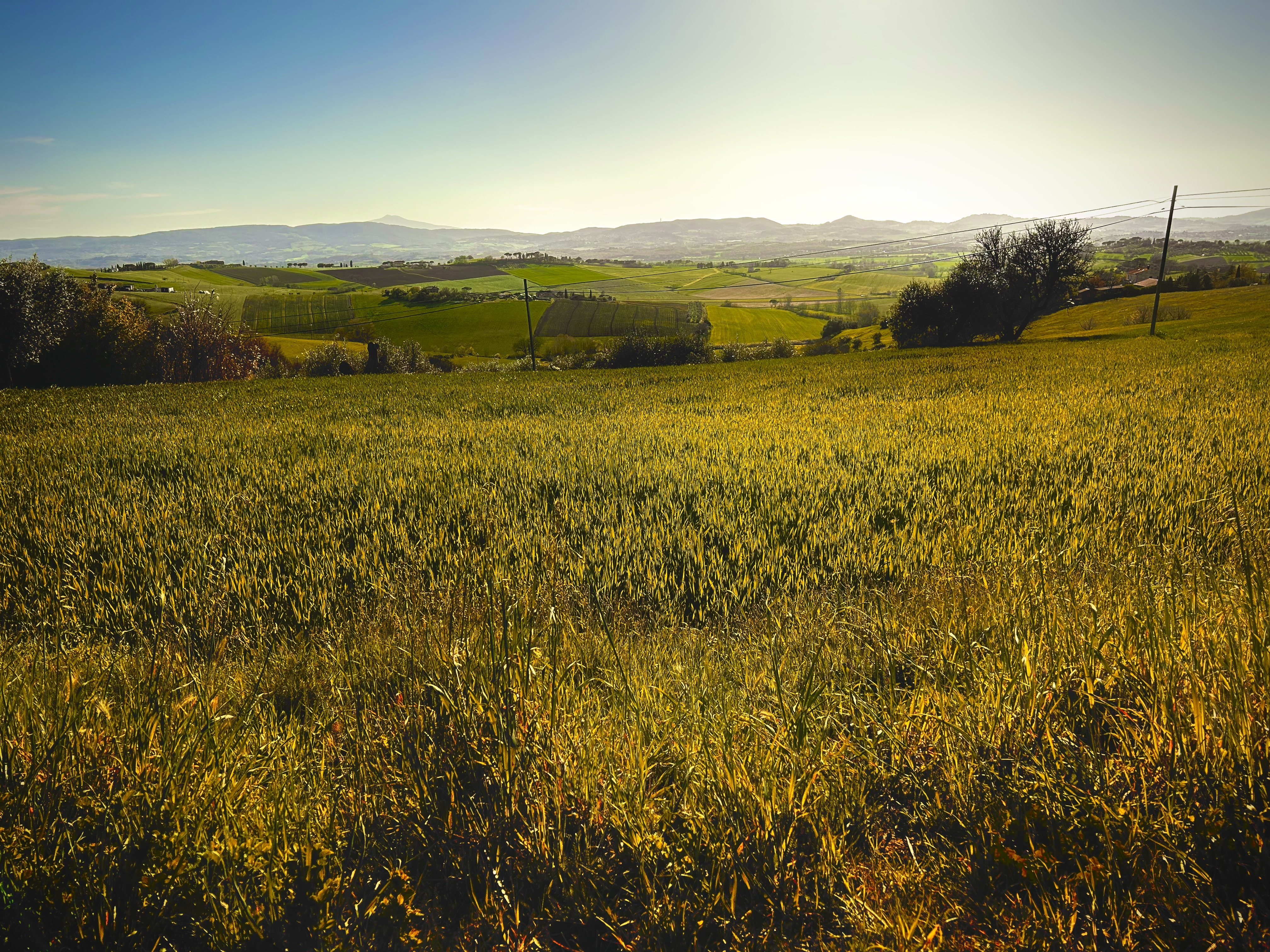 4K landscape of rolling green hills under a bright sky HD Wallpaper