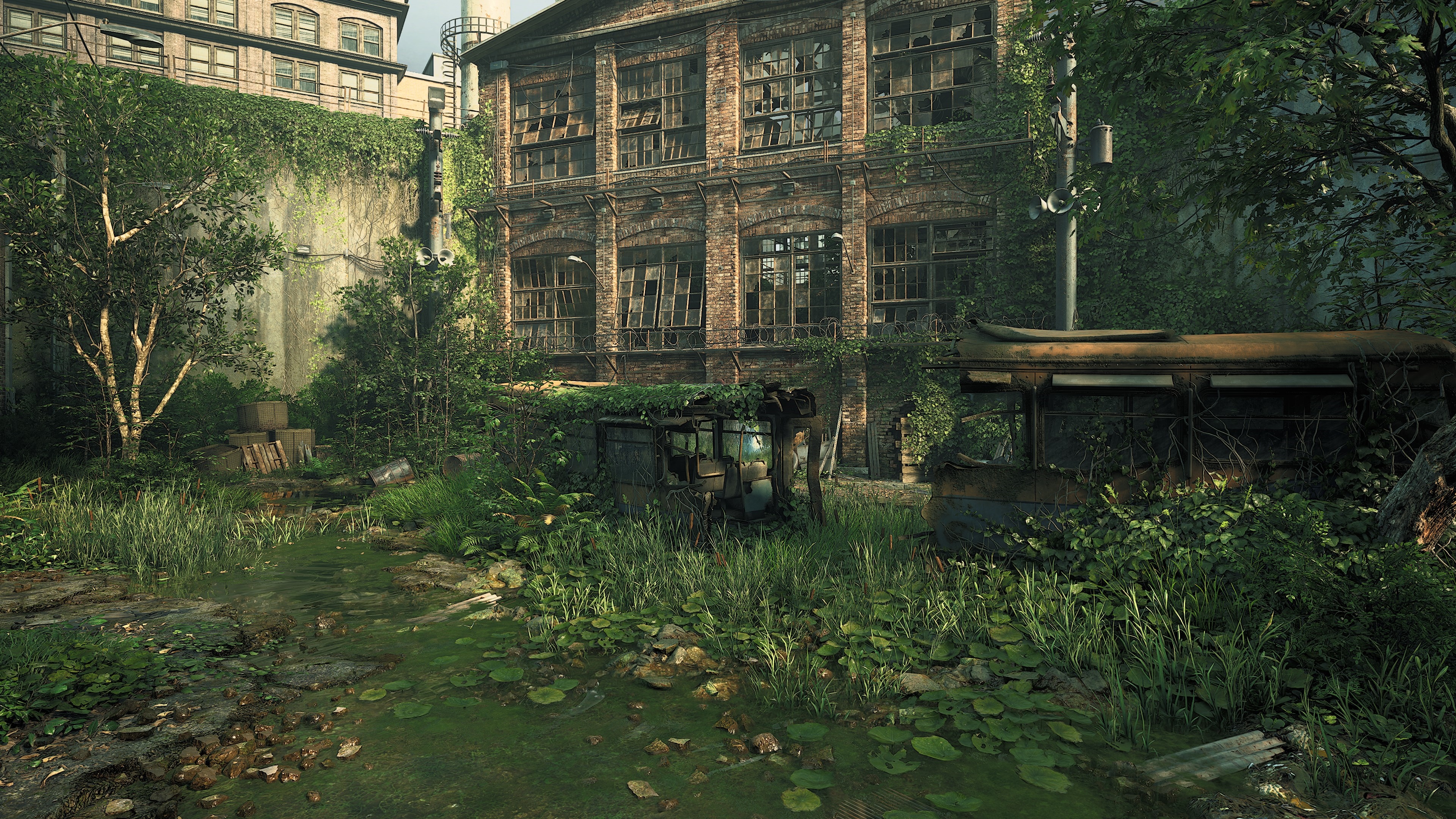 Overgrown ruins of a brick building HD Wallpaper
