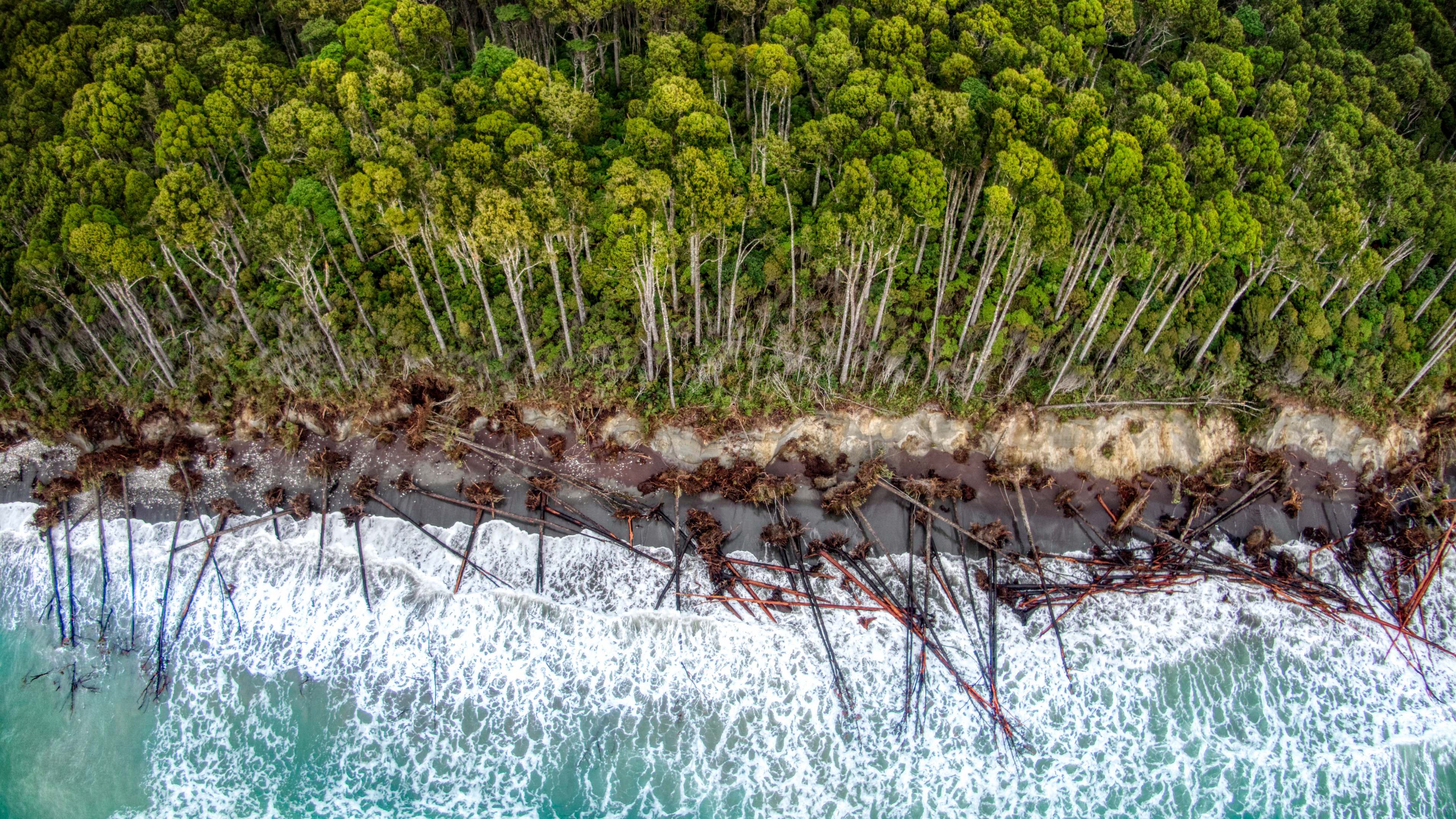 4K Haast New Zealand Coastline with Forest and Waves HD Wallpaper