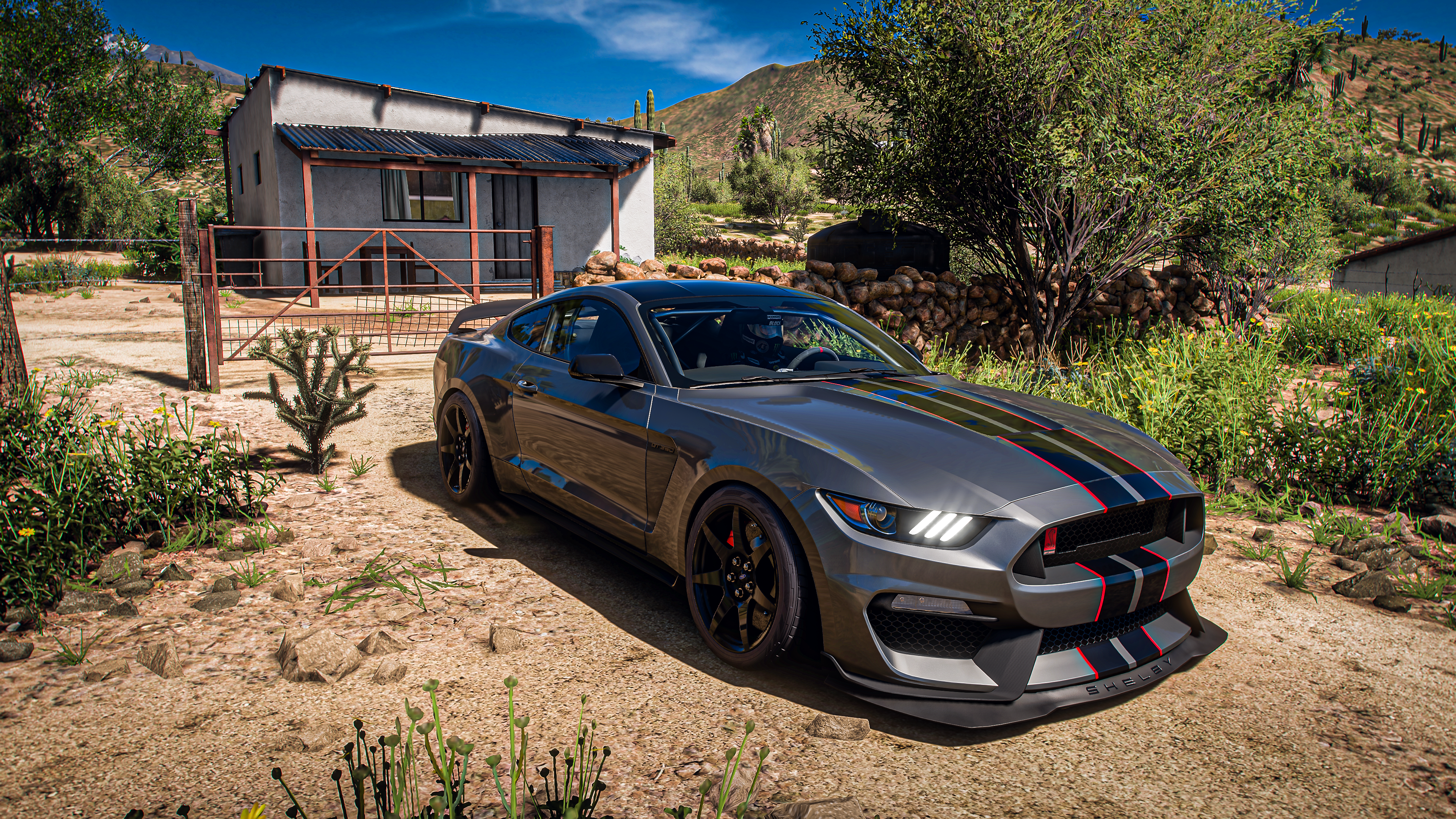 4K Ford Mustang Shelby GT350 in Forza Horizon 5 HD Wallpaper