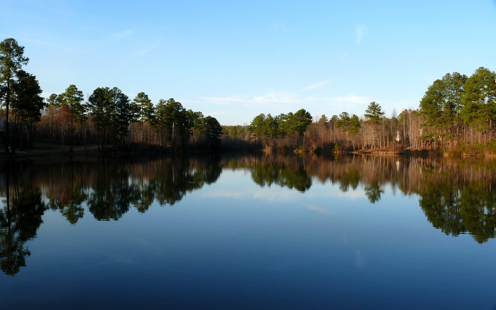 Lake with trees reflecting in the water under a blue sky HD Wallpaper